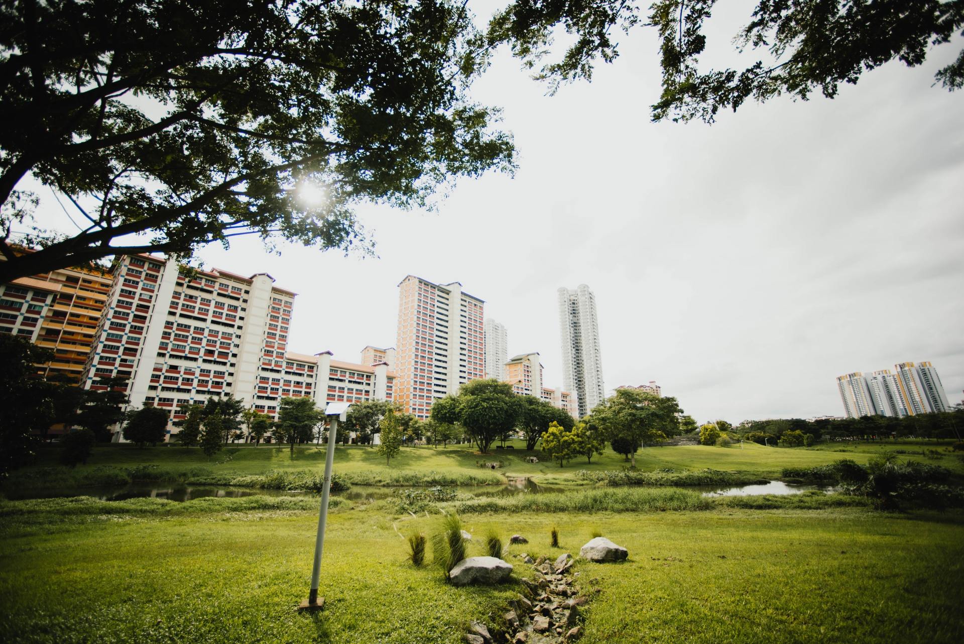 city view from park