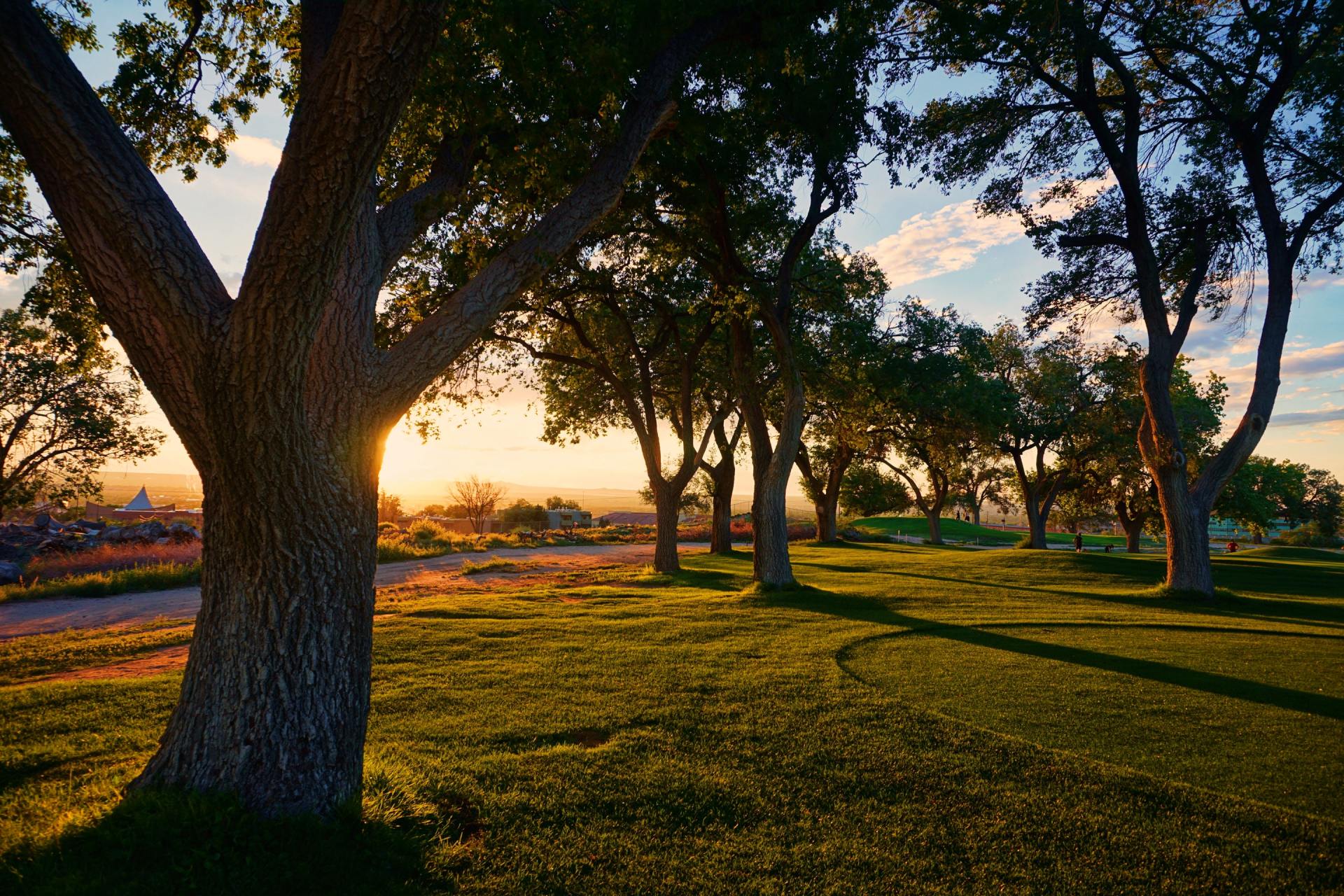 celebration of life sunset at the park