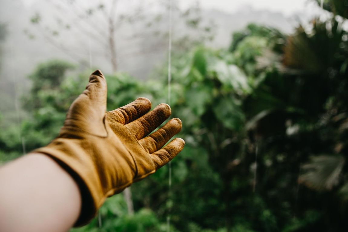 gardener-march-gardening-glove
