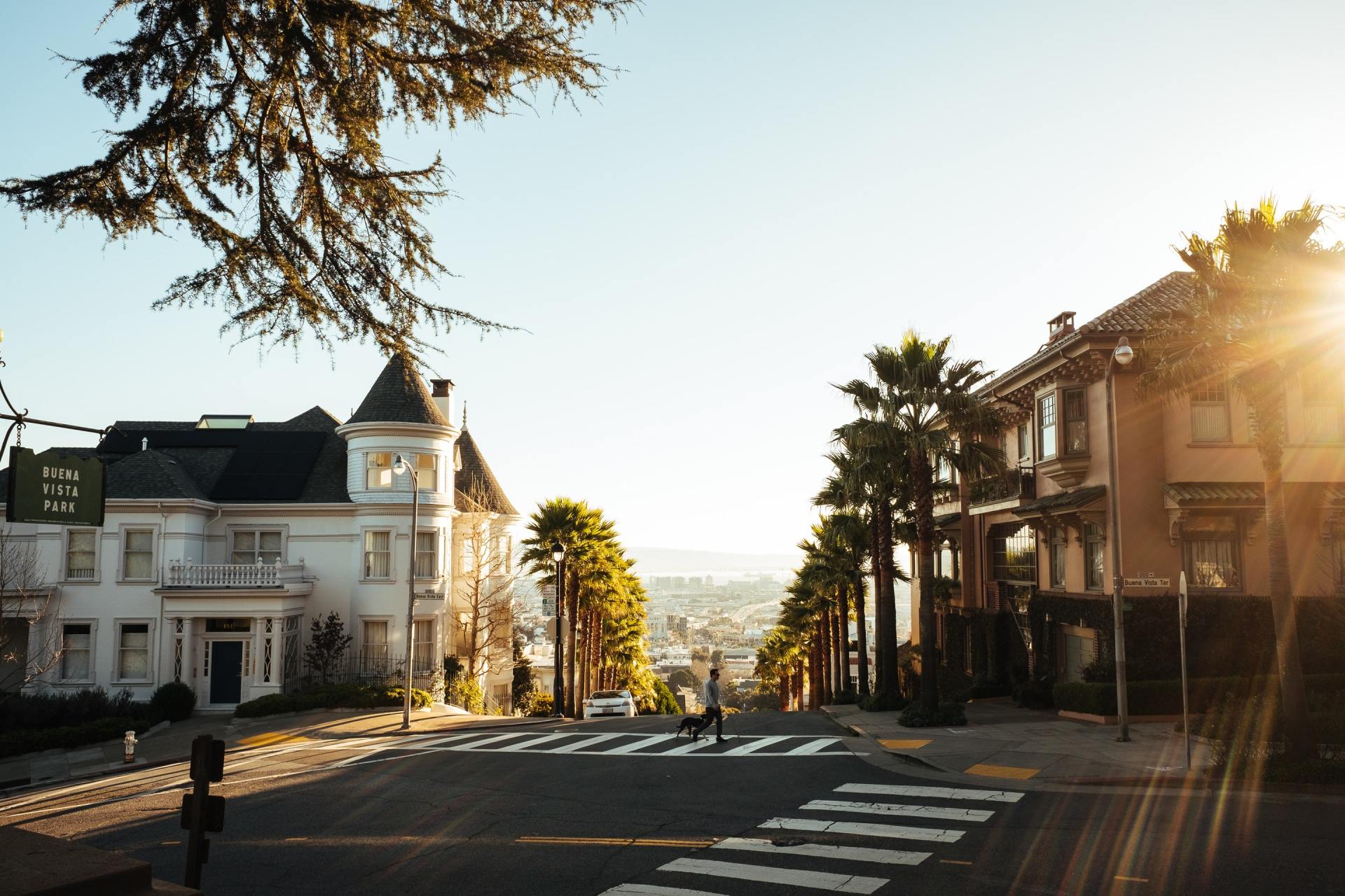 The sun is shining through the trees on a city street.