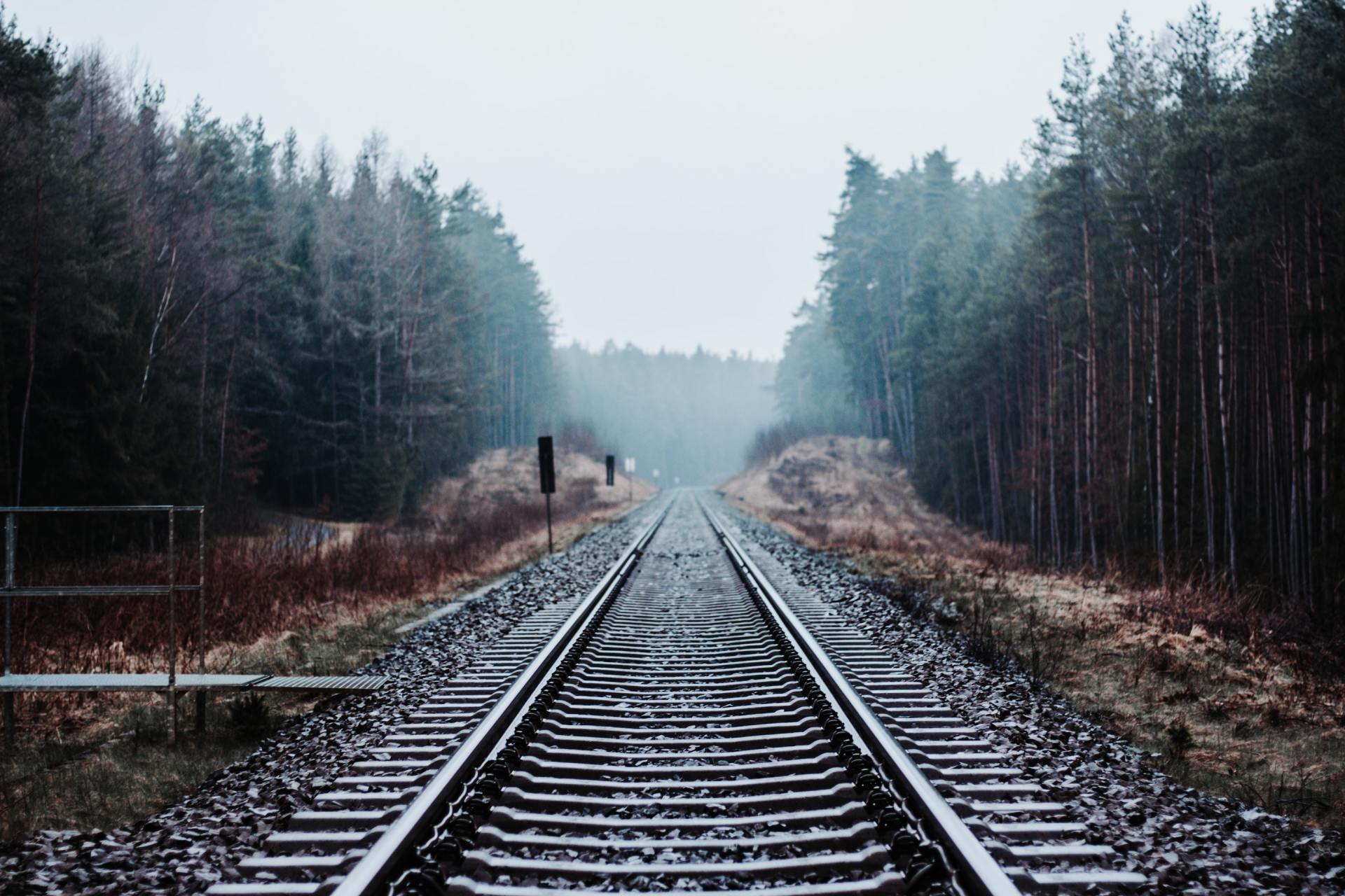 A train track going through a forest on a cloudy day.