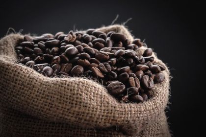 A bag filled with coffee beans on a black background