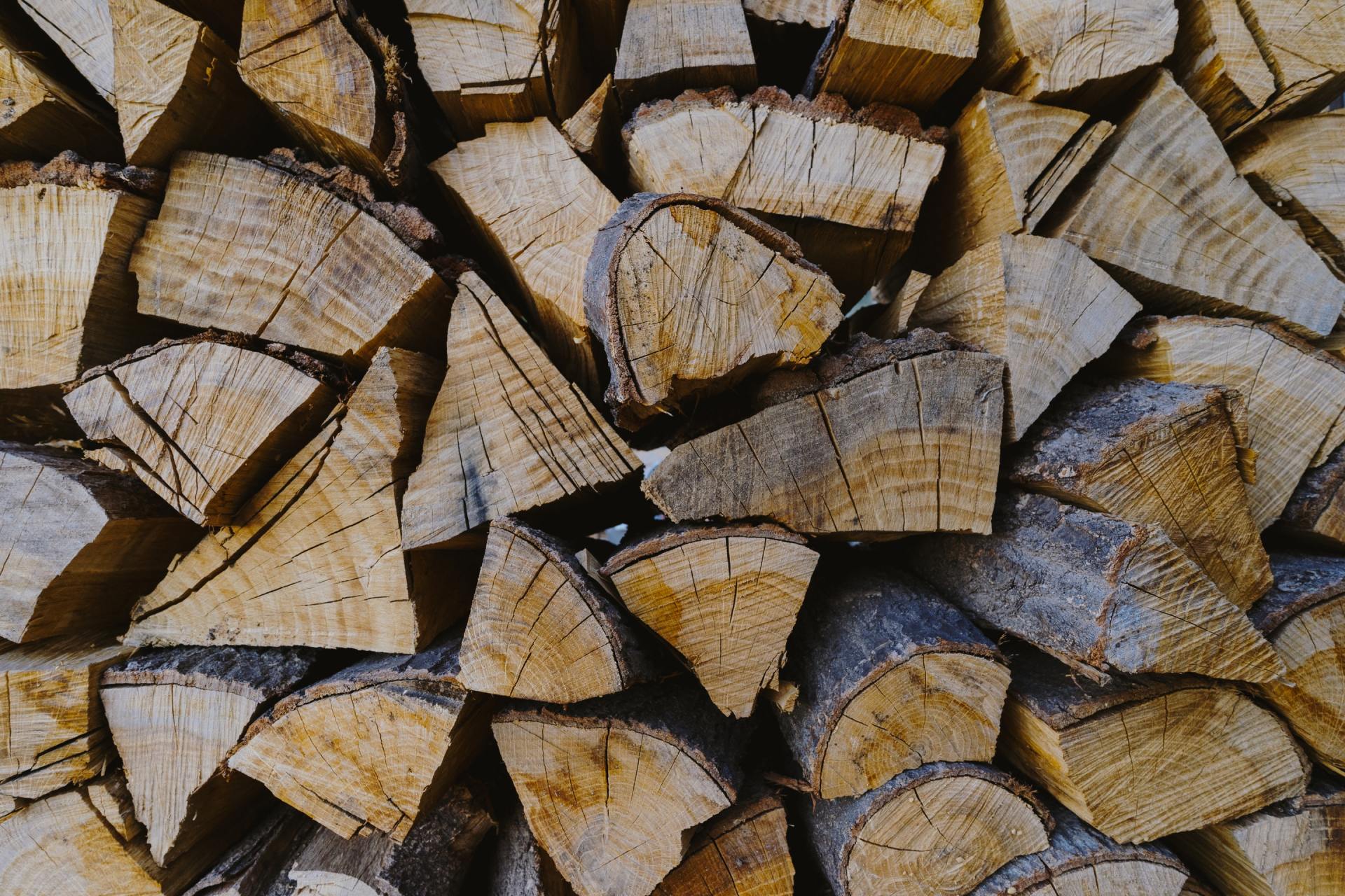 Do you choose the right fuel? cut logs