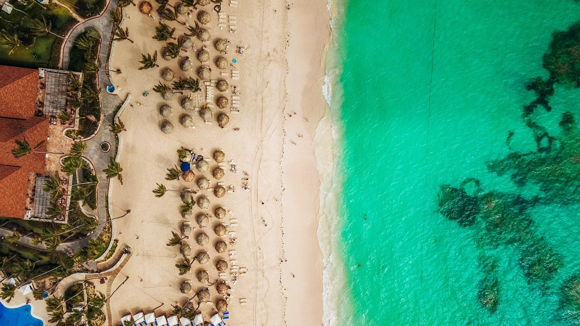 Eine Luftaufnahme eines Strandes und des Ozeans.