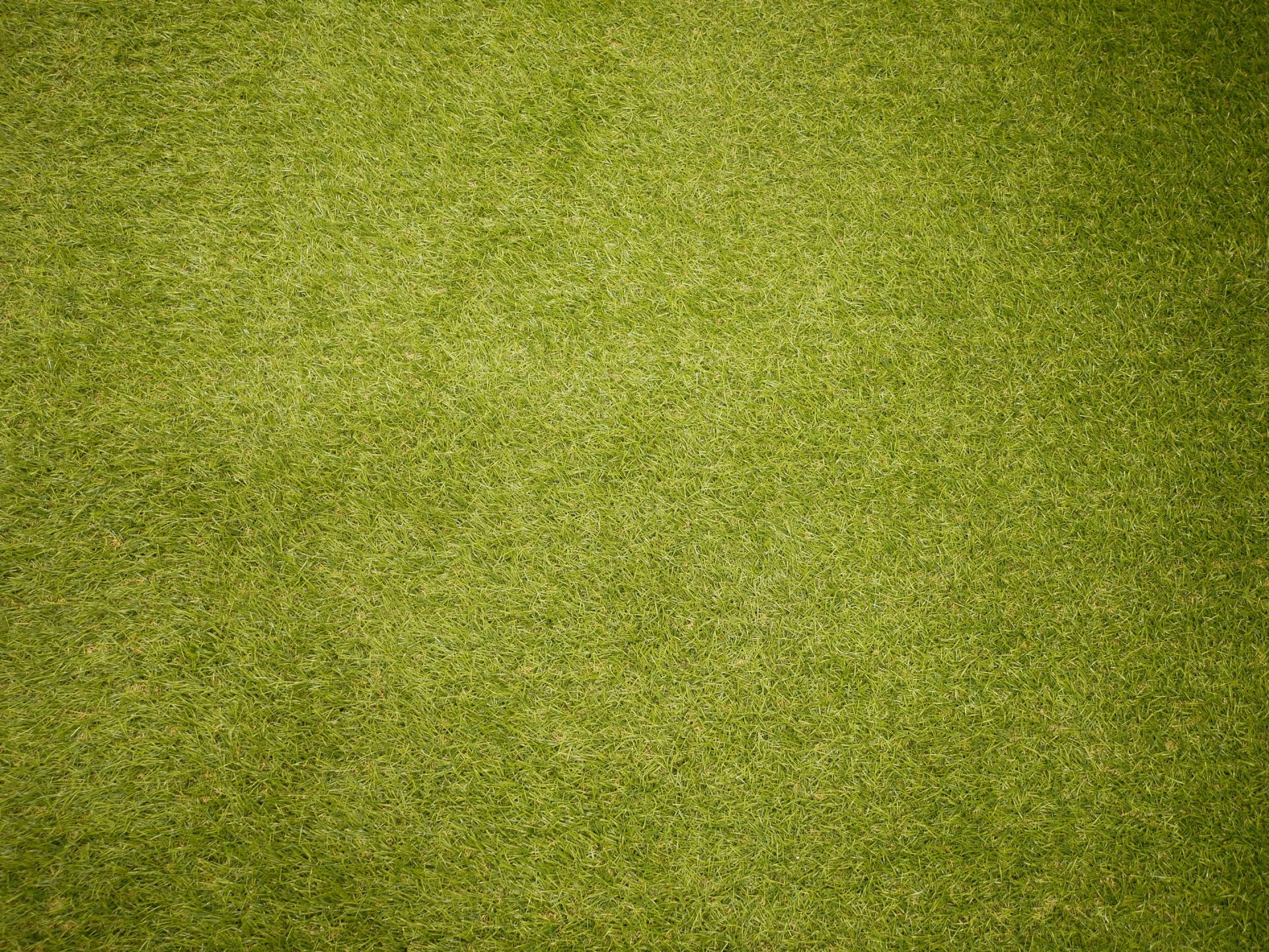 A close up of a green carpet texture.