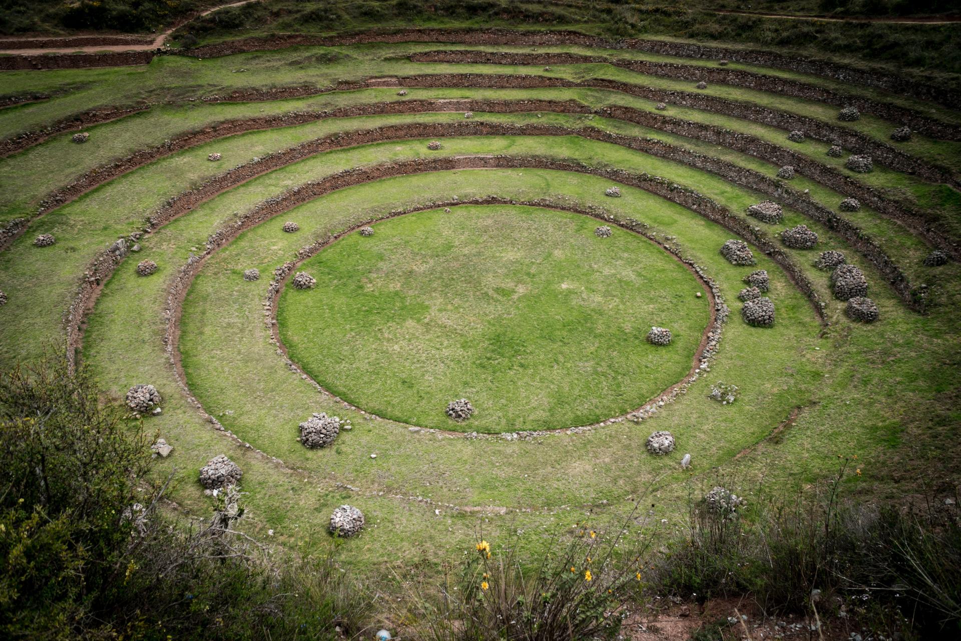 MOray Terraces