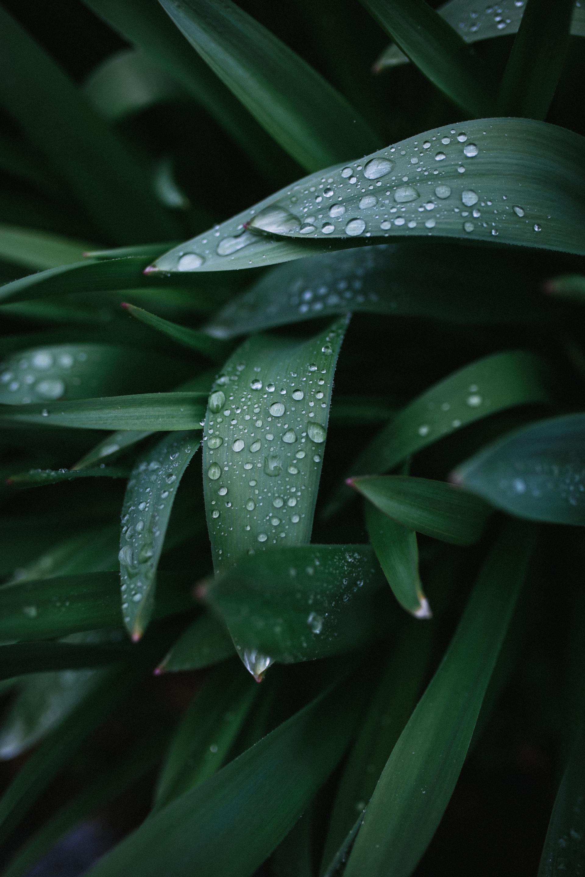 How to enjoy rain on your wedding day