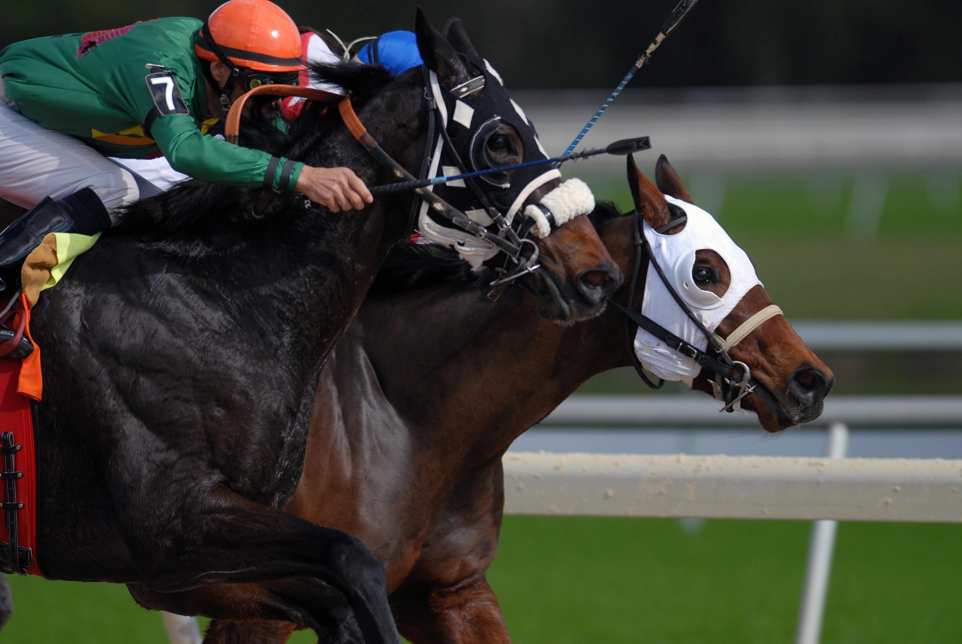 Neck and neck as the cross the finish line