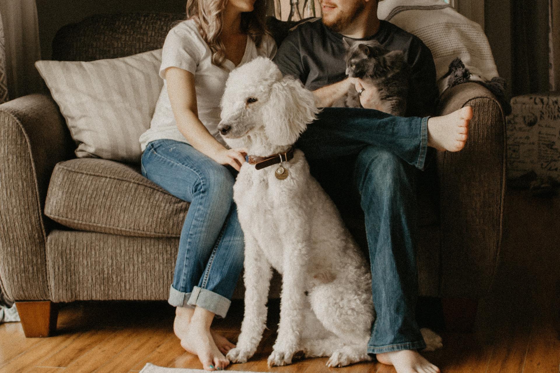 People with Dog