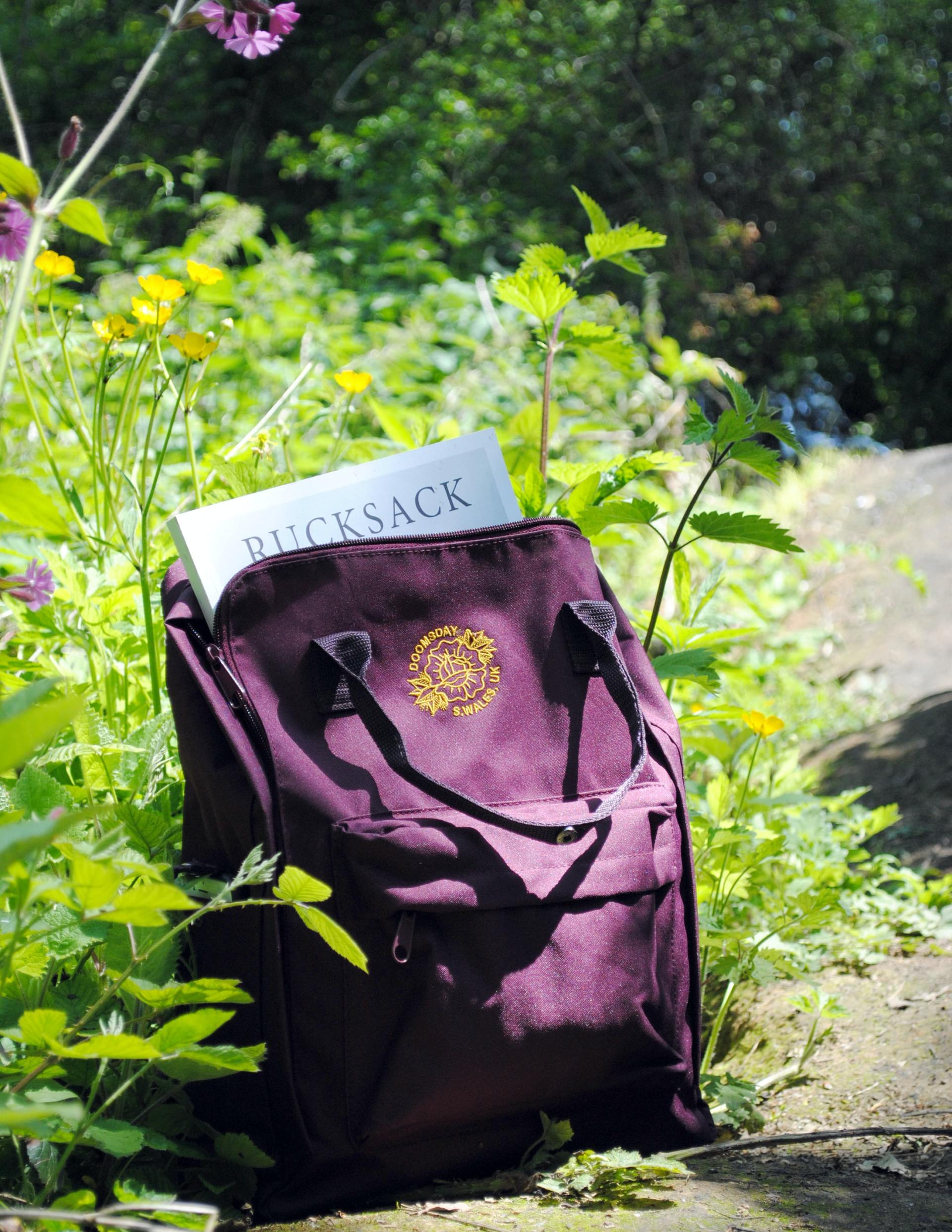 Ein violetter Rucksack auf einem Steinweg in einem sonnigen Garten, umgeben von grünen Pflanzen und gelben Blumen.