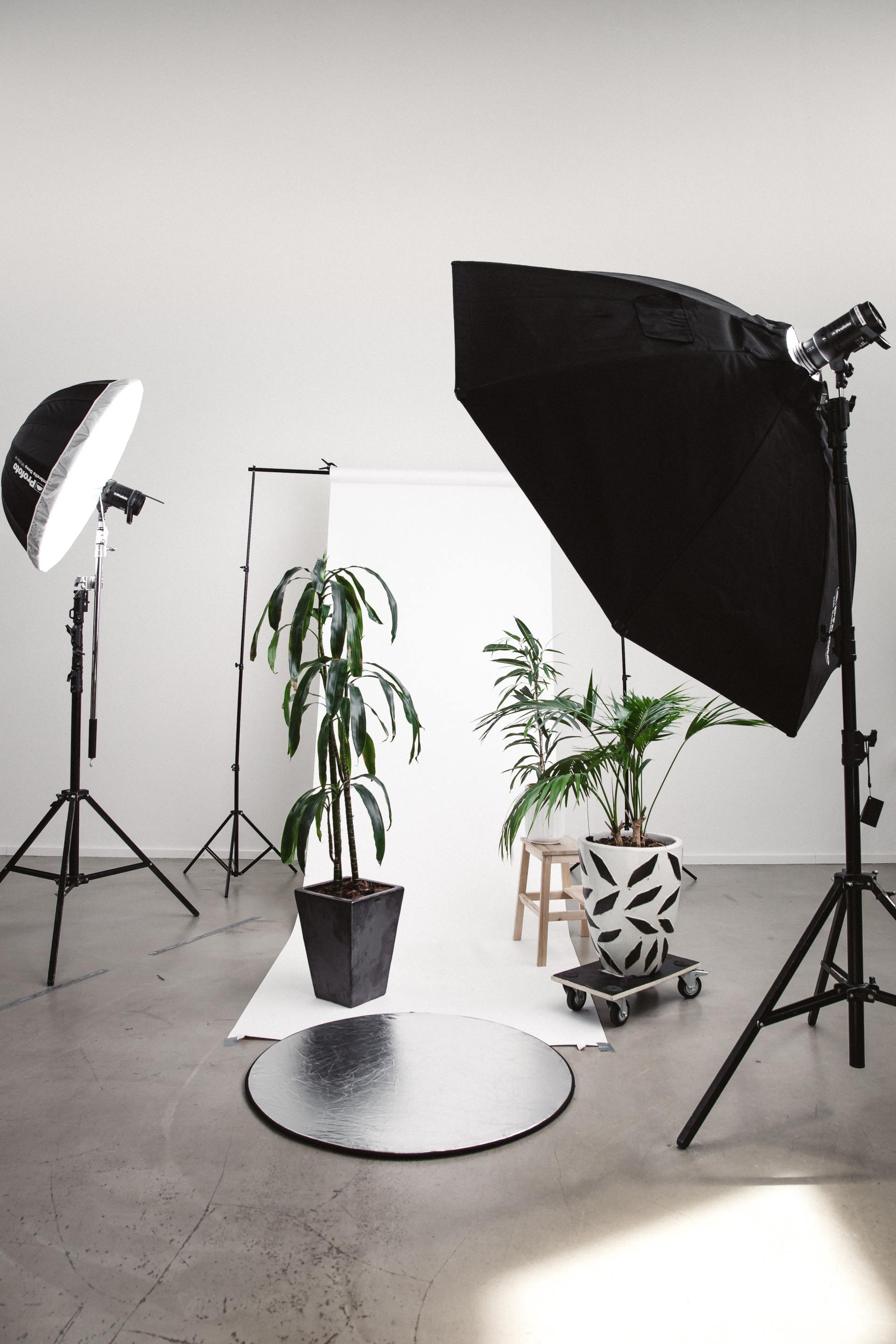 The regions #1 real estate photography and marketing firm