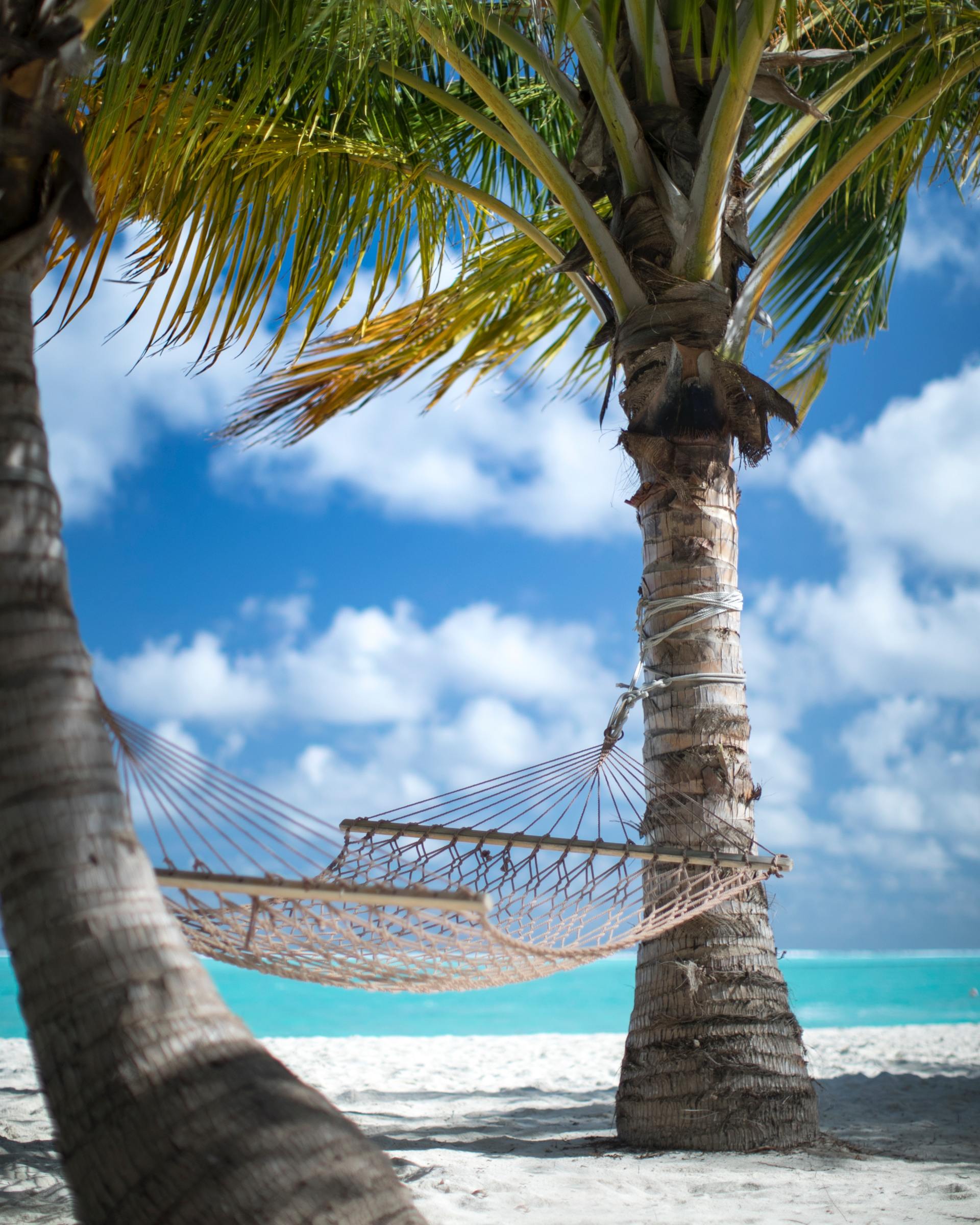 A hammock is hanging between two palm trees on a beach.