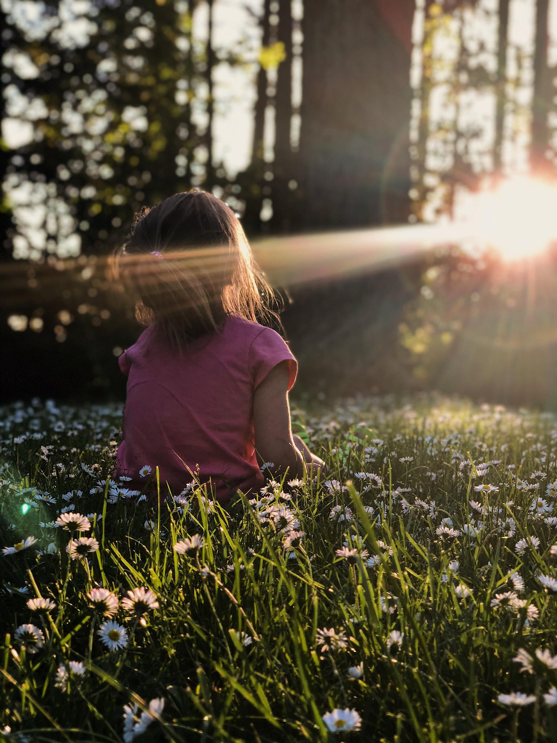 Een persoon in een roze shirt zit in een veld vol wilde bloemen bij zonsondergang, verlicht door een felle zonnevlam.