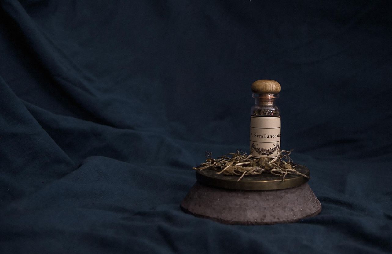 prodotti erboristeria