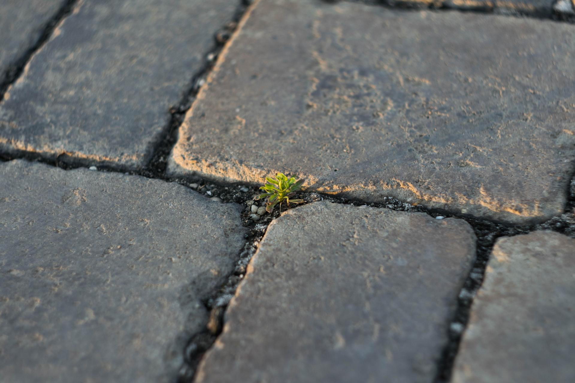 driveway cleaning telford