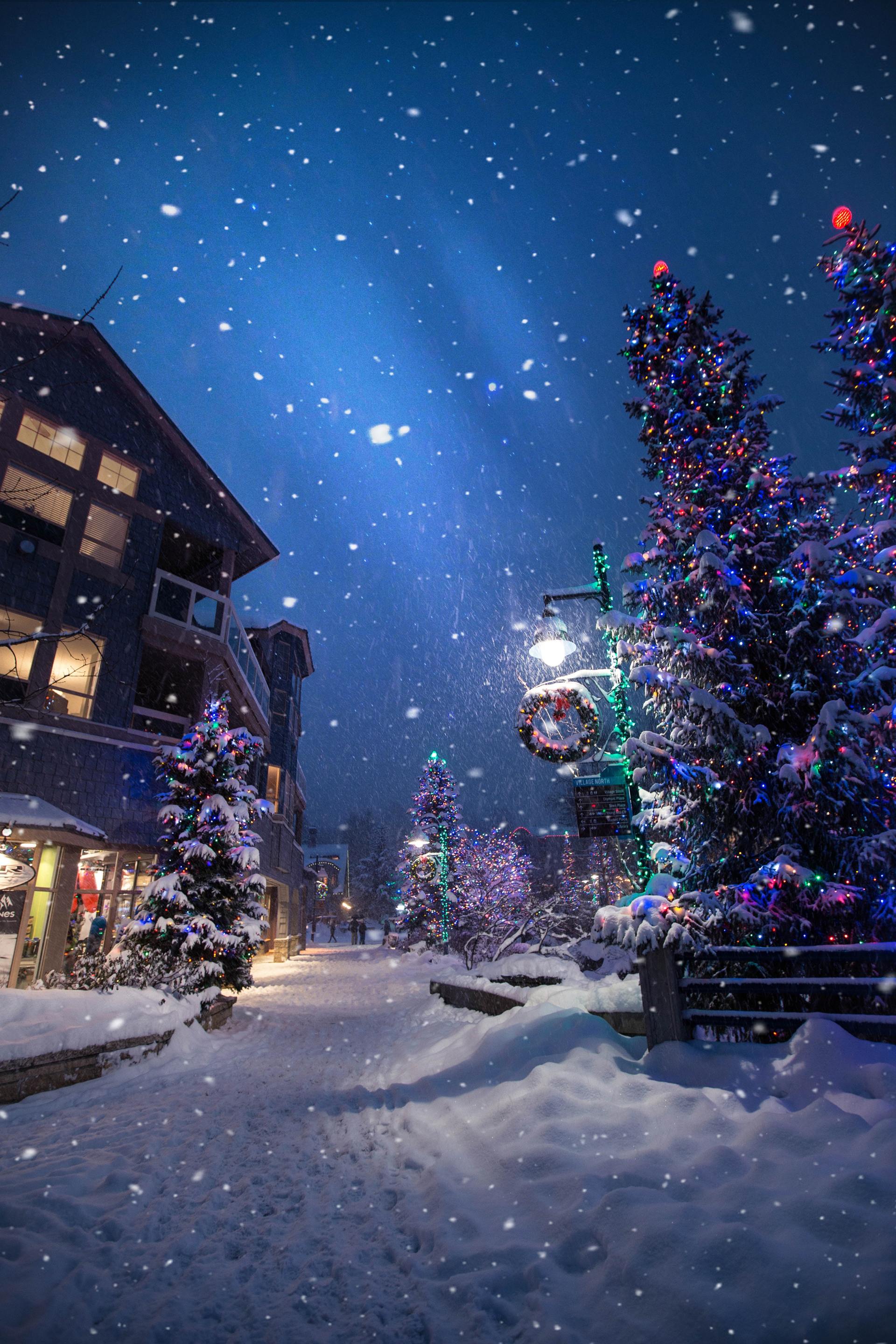 Mastercraft Discount Auto and Tire Christmas 2025