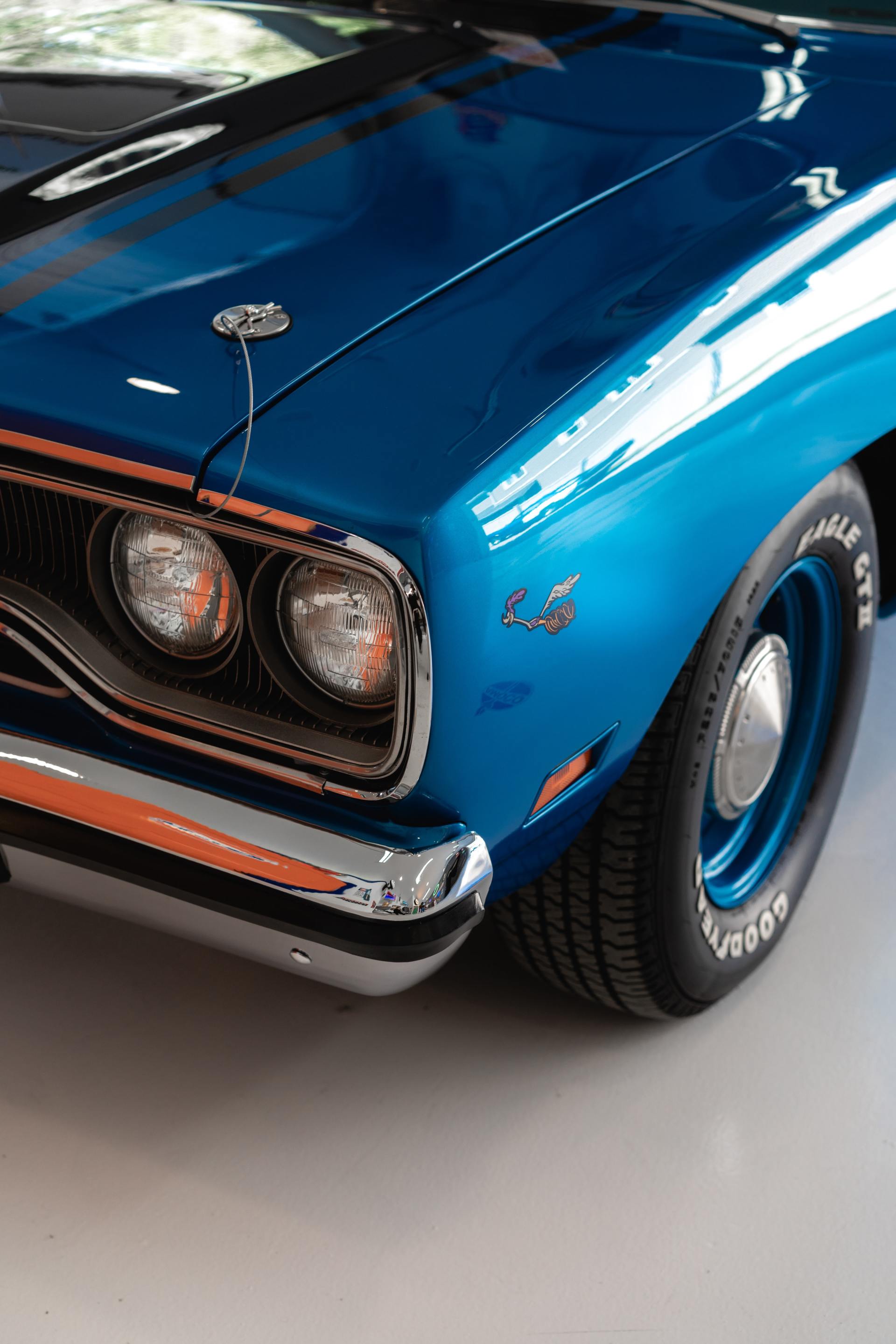muscle_koehler_auto_body