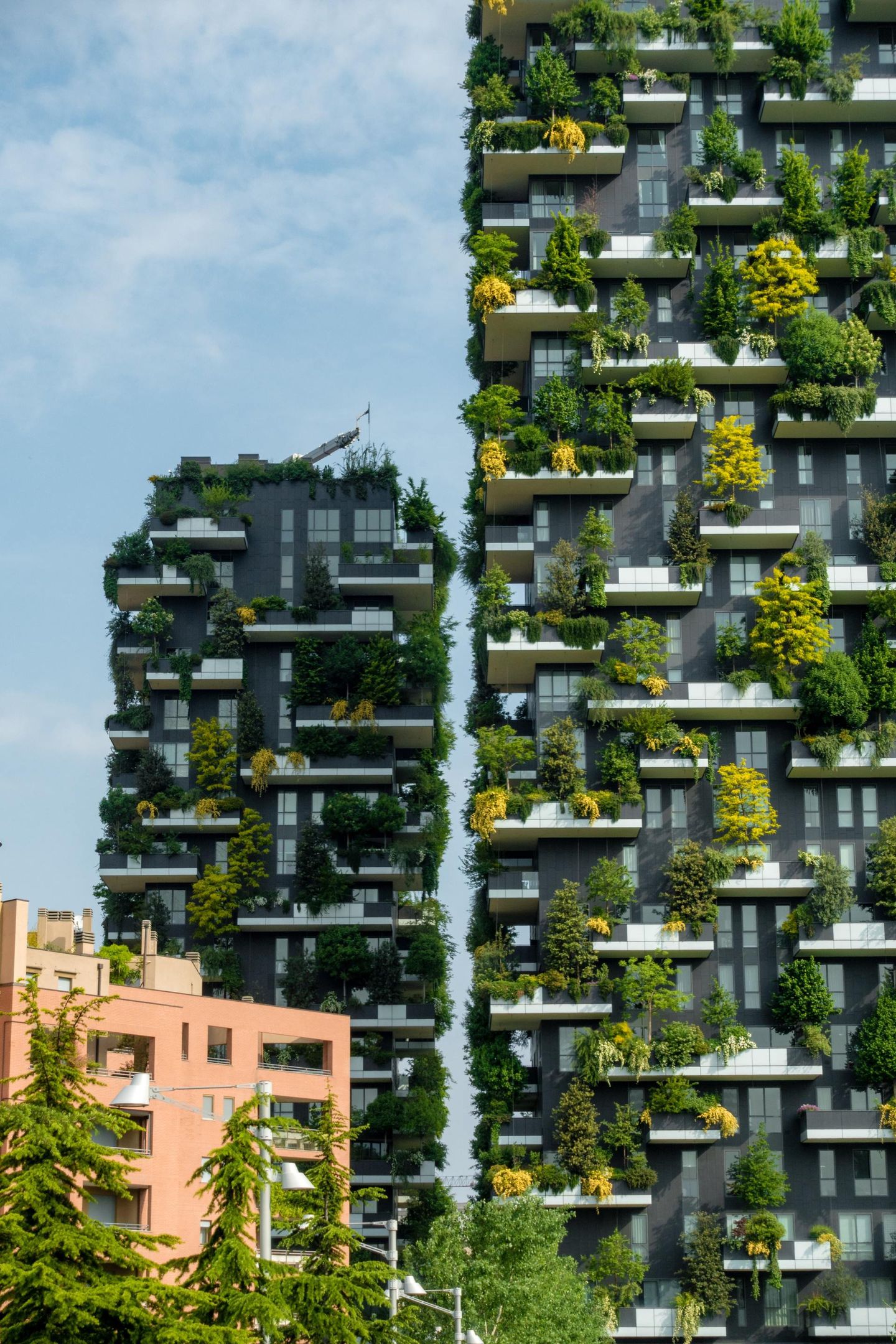 am.Ico. amministratori condominio