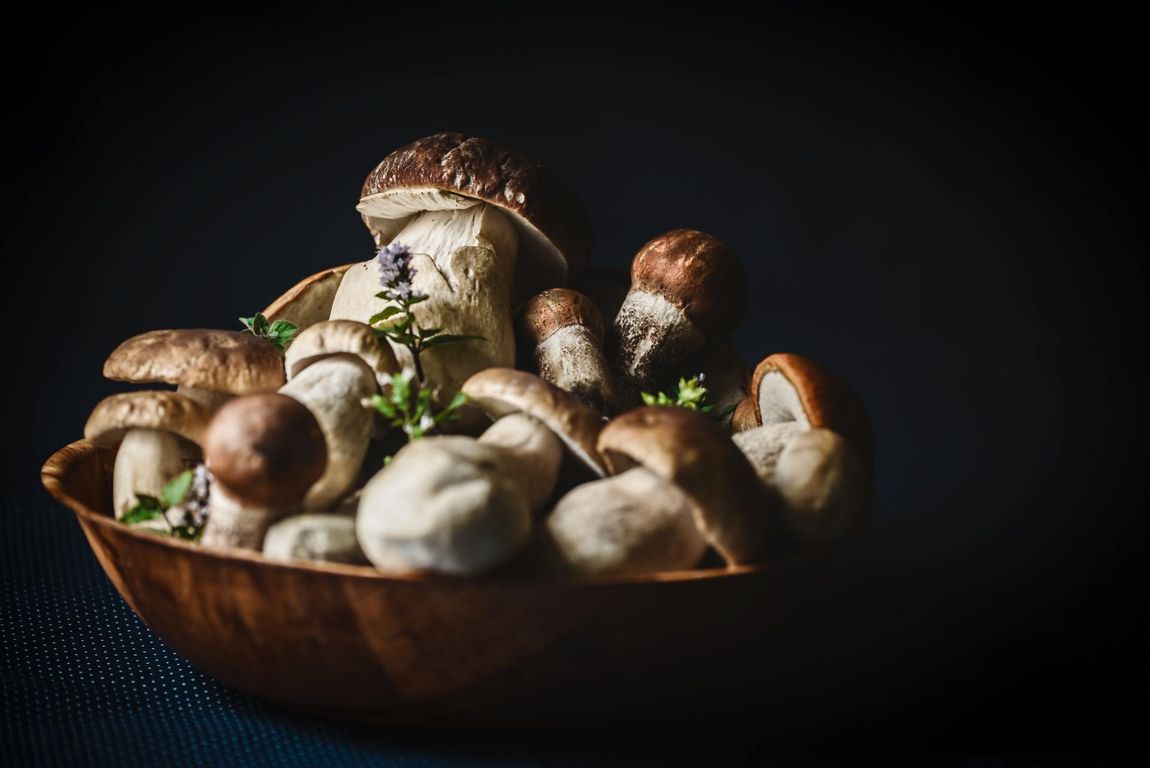 piatti a base di porcini