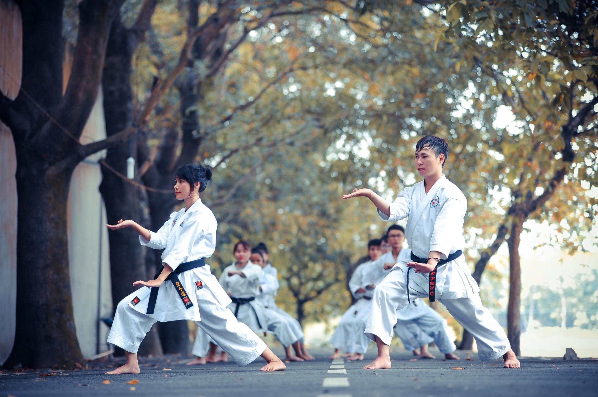 Eine Gruppe Leute trainiert in einem Park Karate.