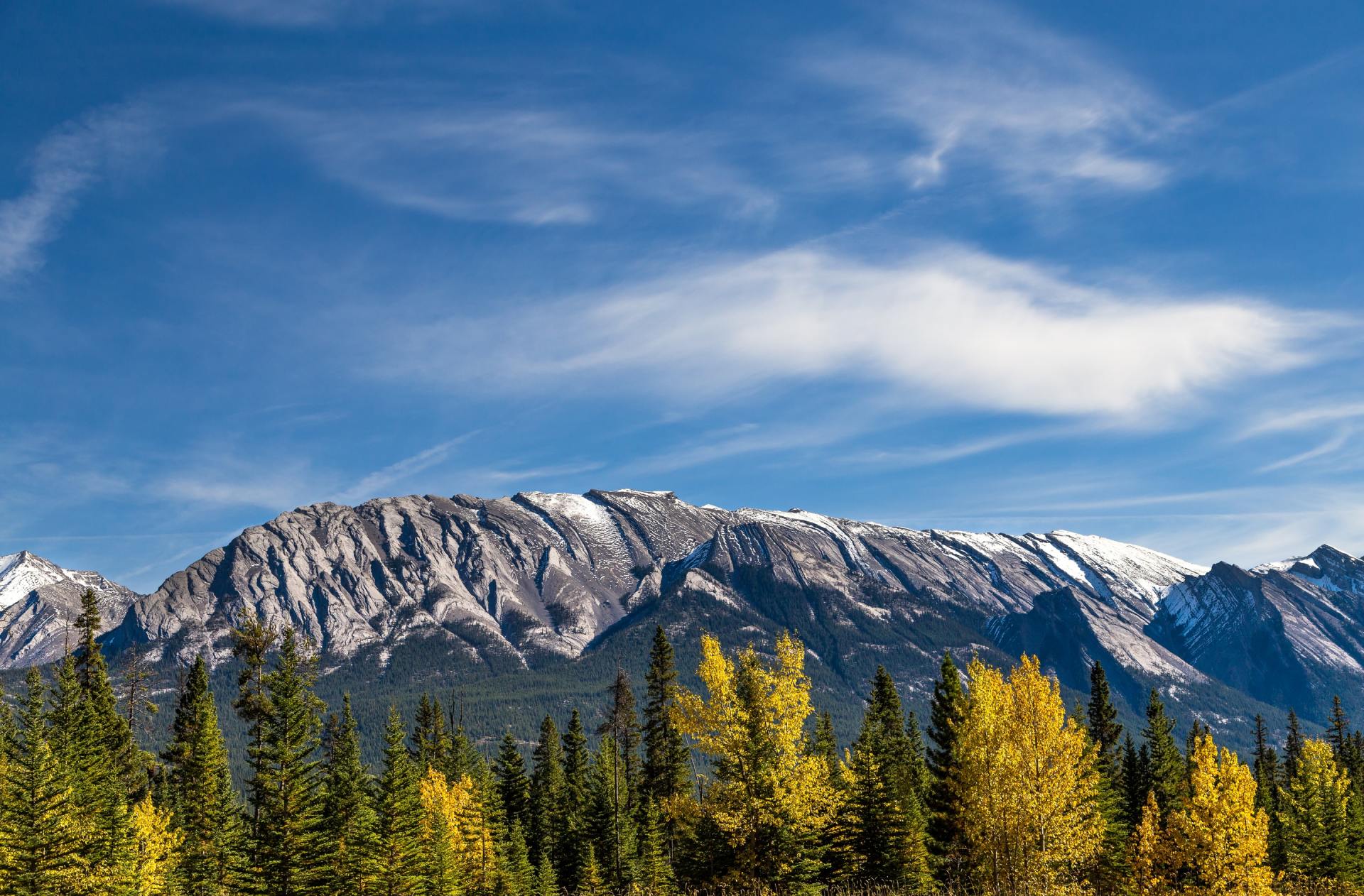 A mountain covered in snow is surrounded by trees on a sunny day.