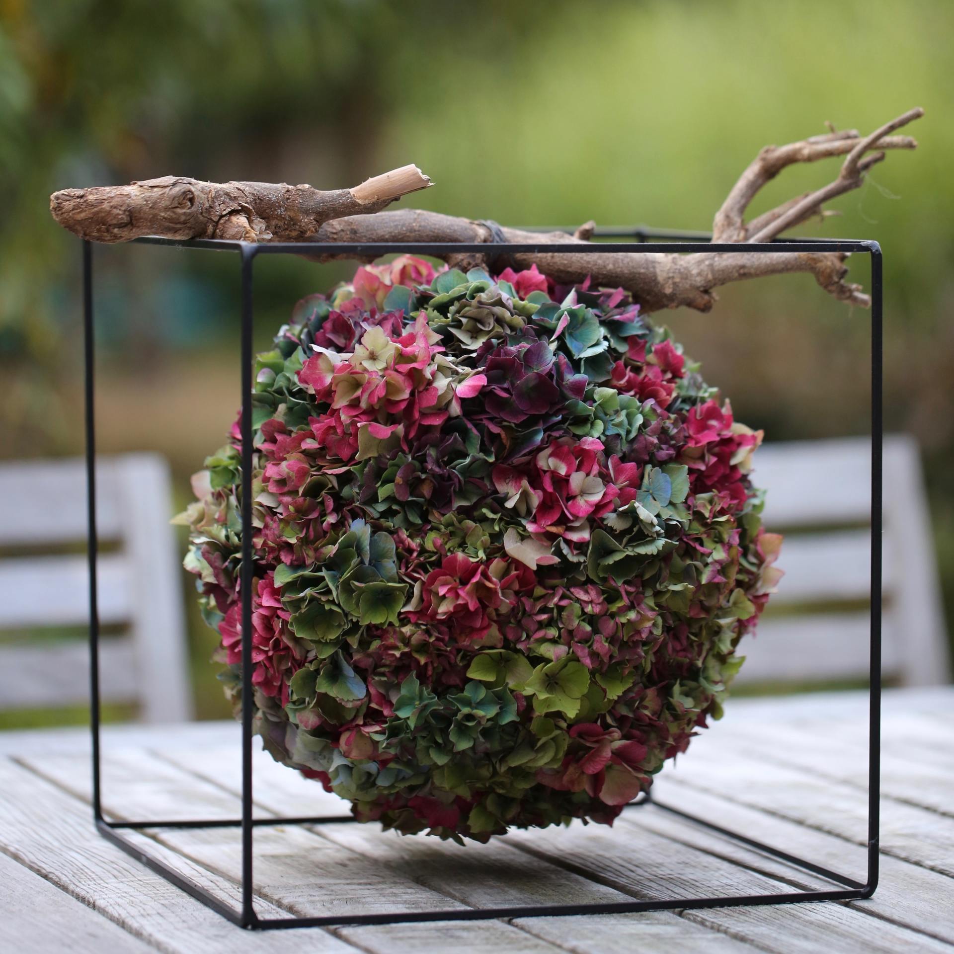 A spherical arrangement of colorful hydrangeas rests within a black metal cube, with a branch on top.