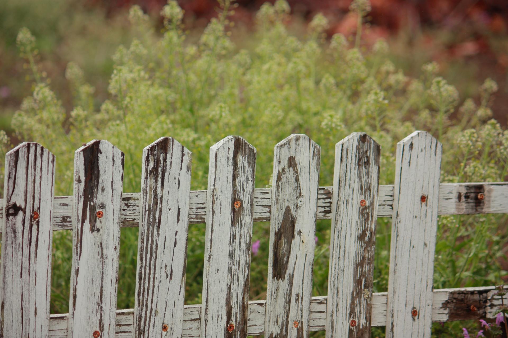 Neighborly Fence-Talk. Michael Kroth. Profound Living 