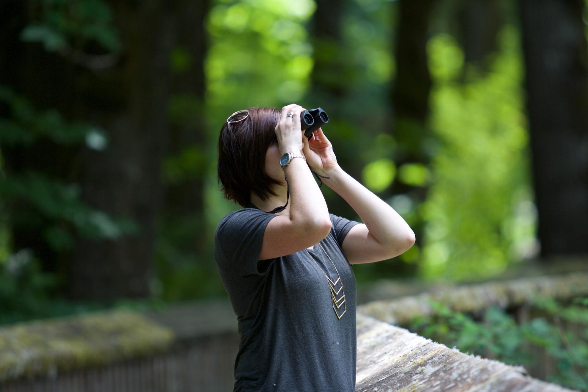 photograph or video your dog at trials