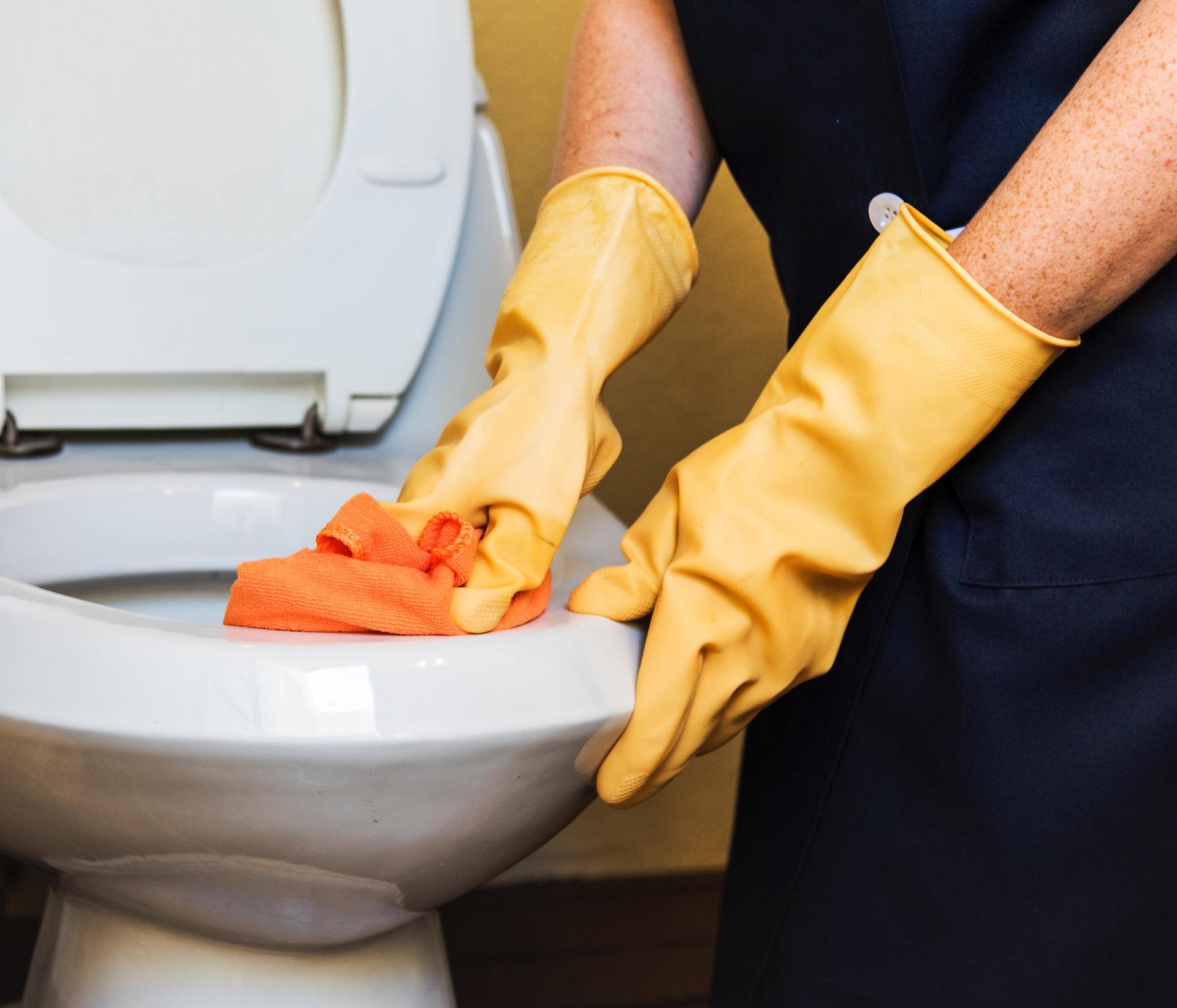 Office Cleaning, Maid Home Cleaning, Janitorial Services, Olympia, Lacey, Yelm, Tumwater, Rainier, Roy and all surrounding areas.