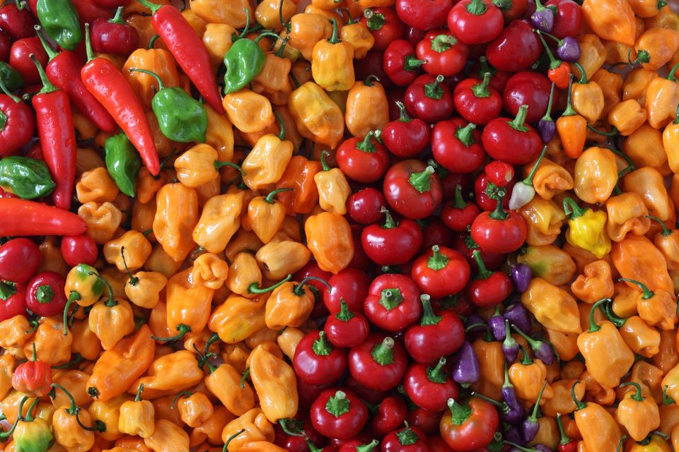 A Variety of Peppers