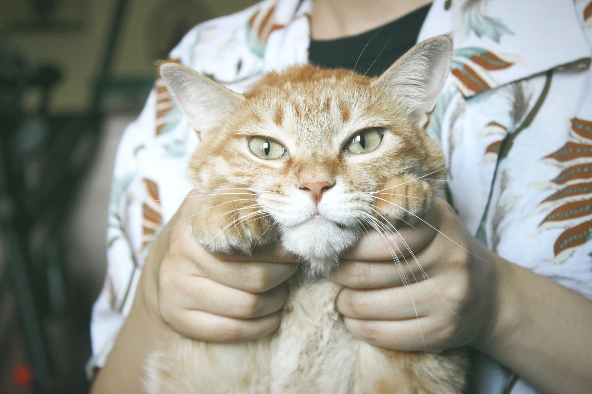 Nail Trimming