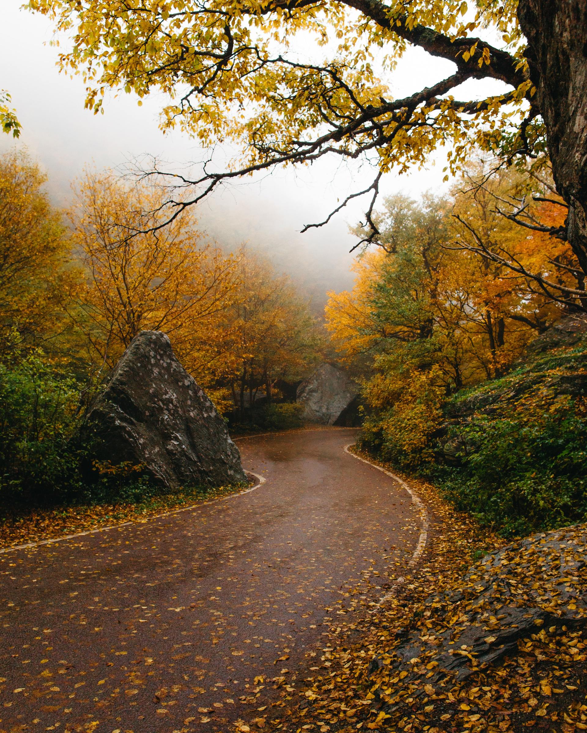 Fall in Vermont