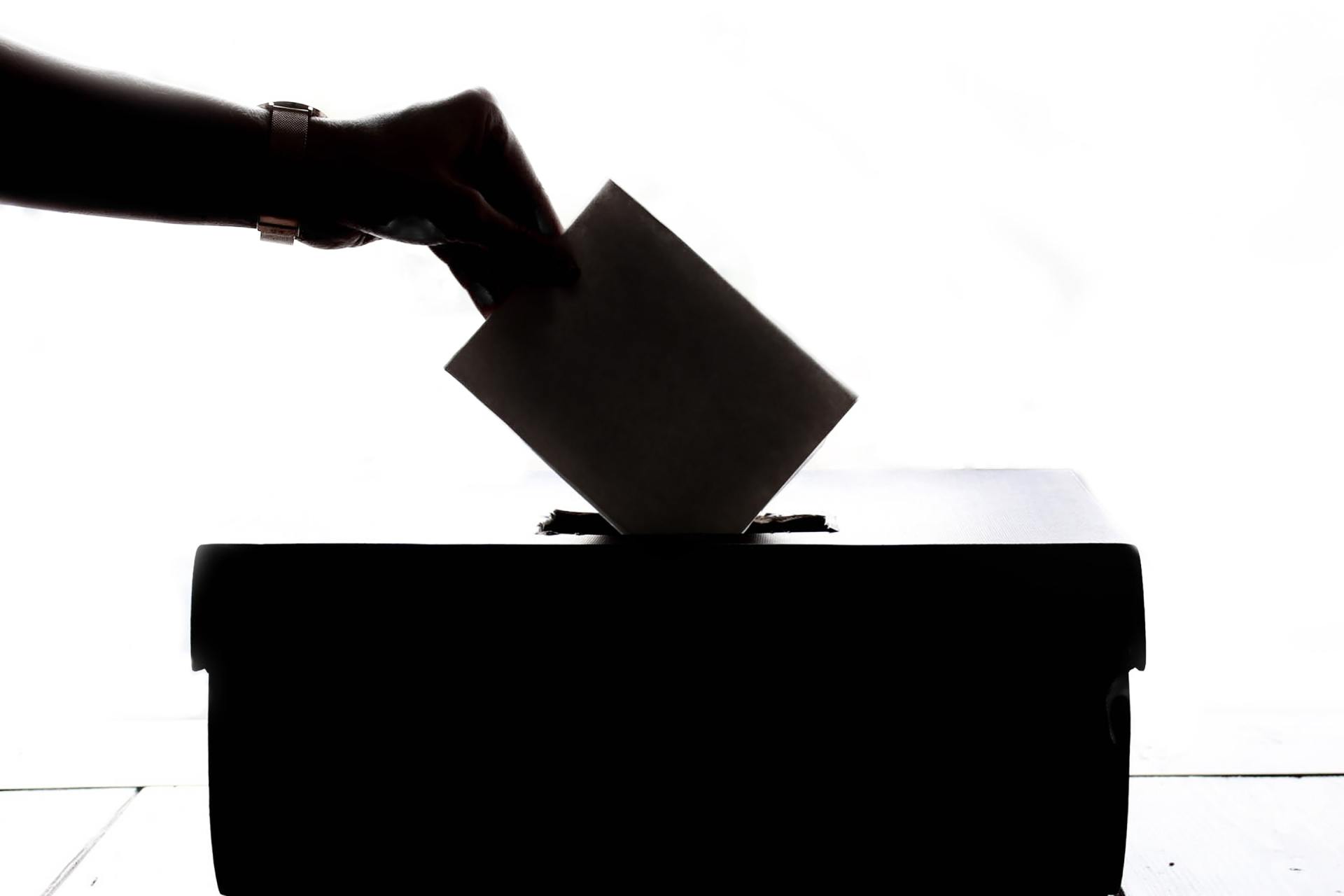 “Whose interests do you vote for during elections, your own or someone else’s?”
