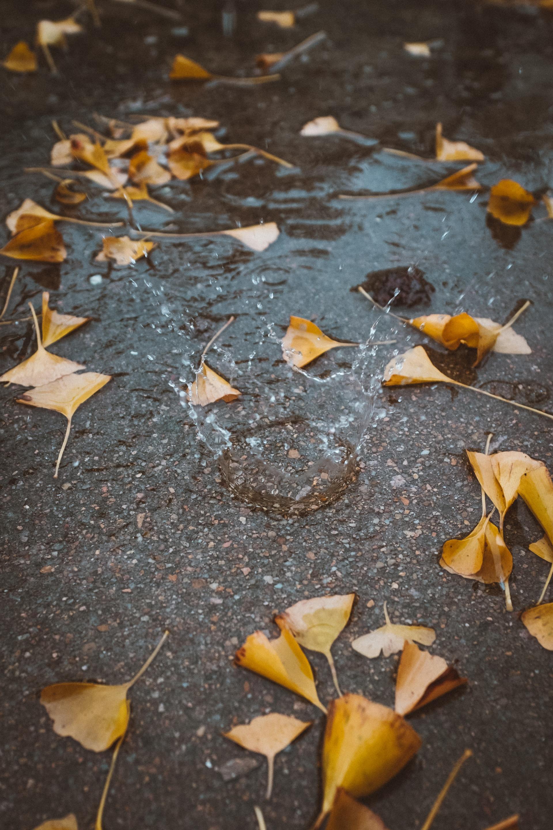 Gutter Cleaning in Bend | Handyman Ben