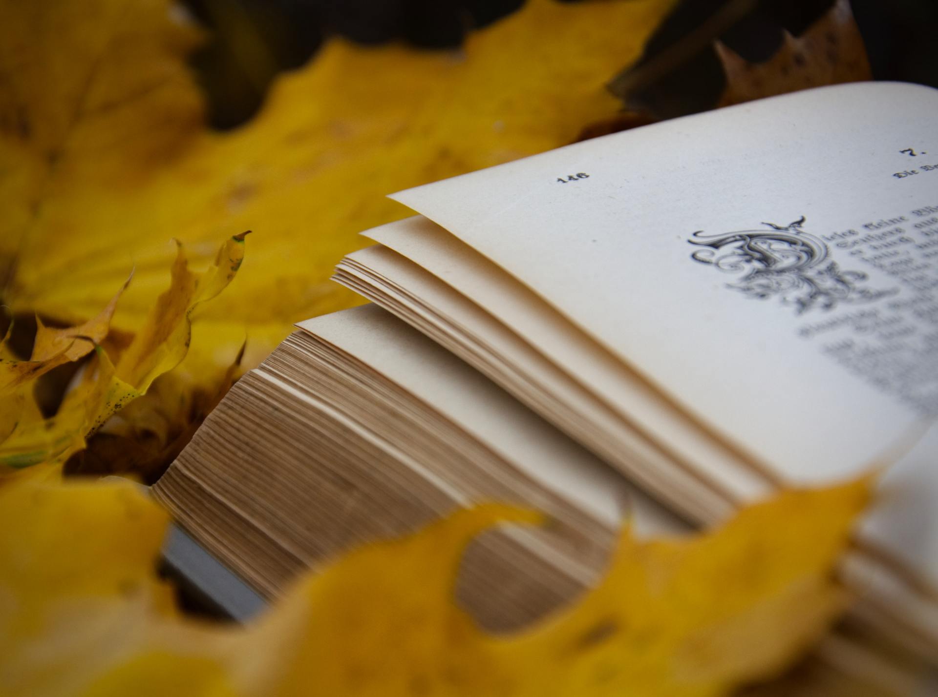 Julia Thum's Nature Diary