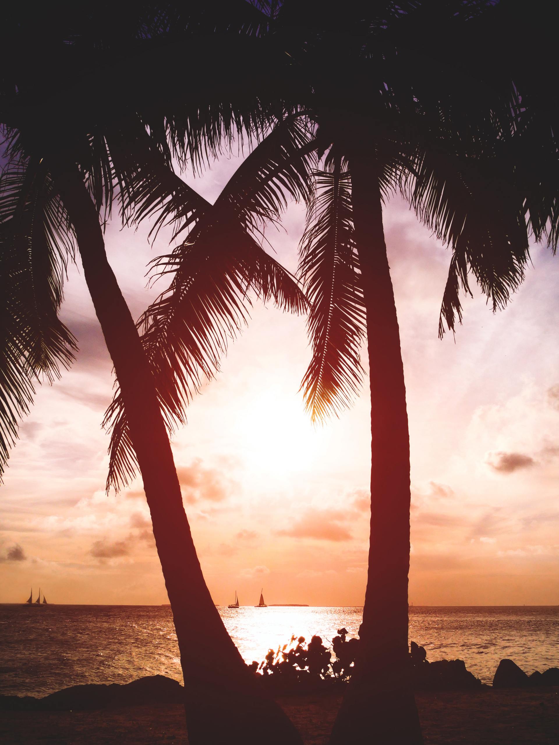 Silhouetted palm trees frame a sunset over the ocean; boats are visible in the distance.