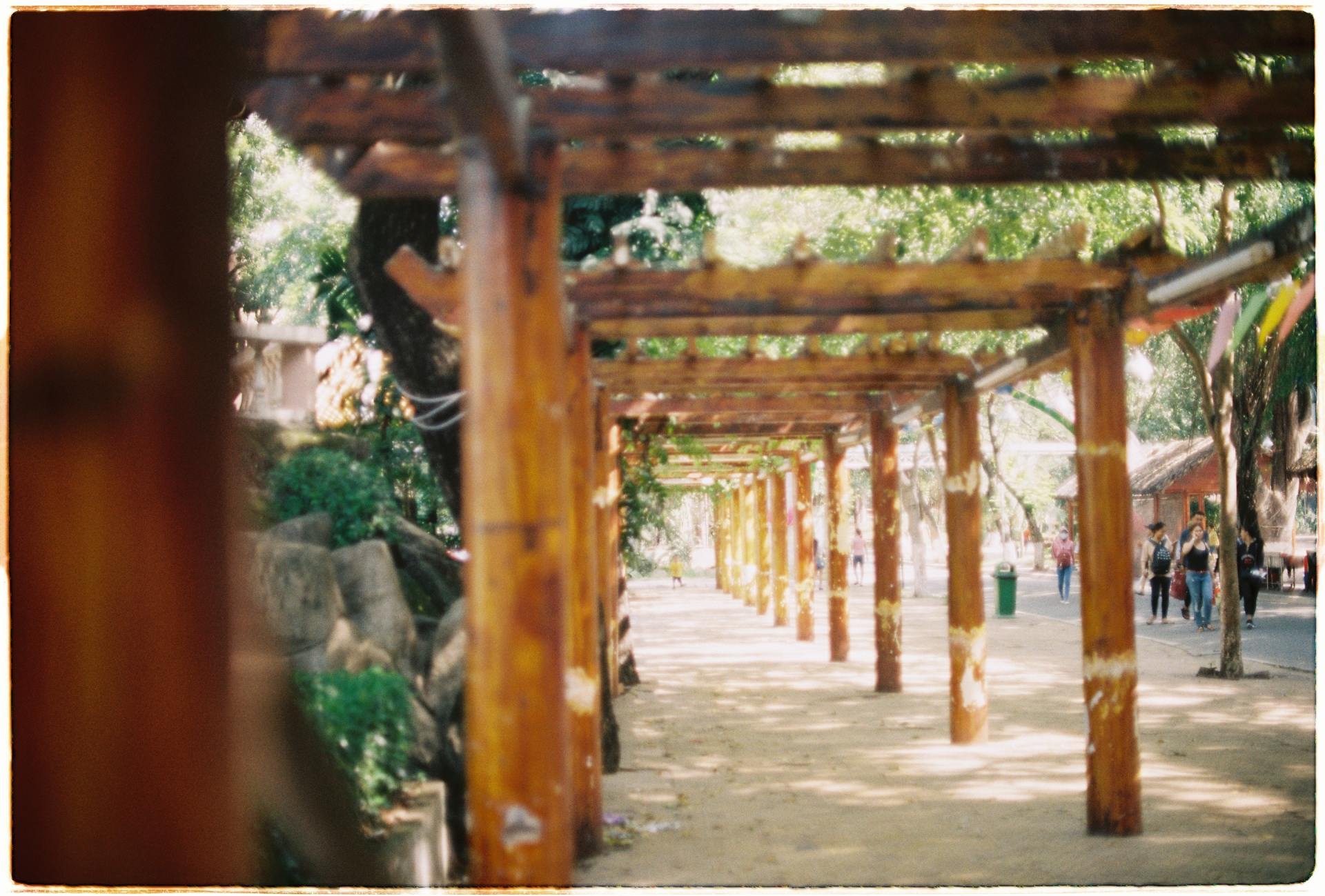 A person is standing under a wooden pergola in a park.