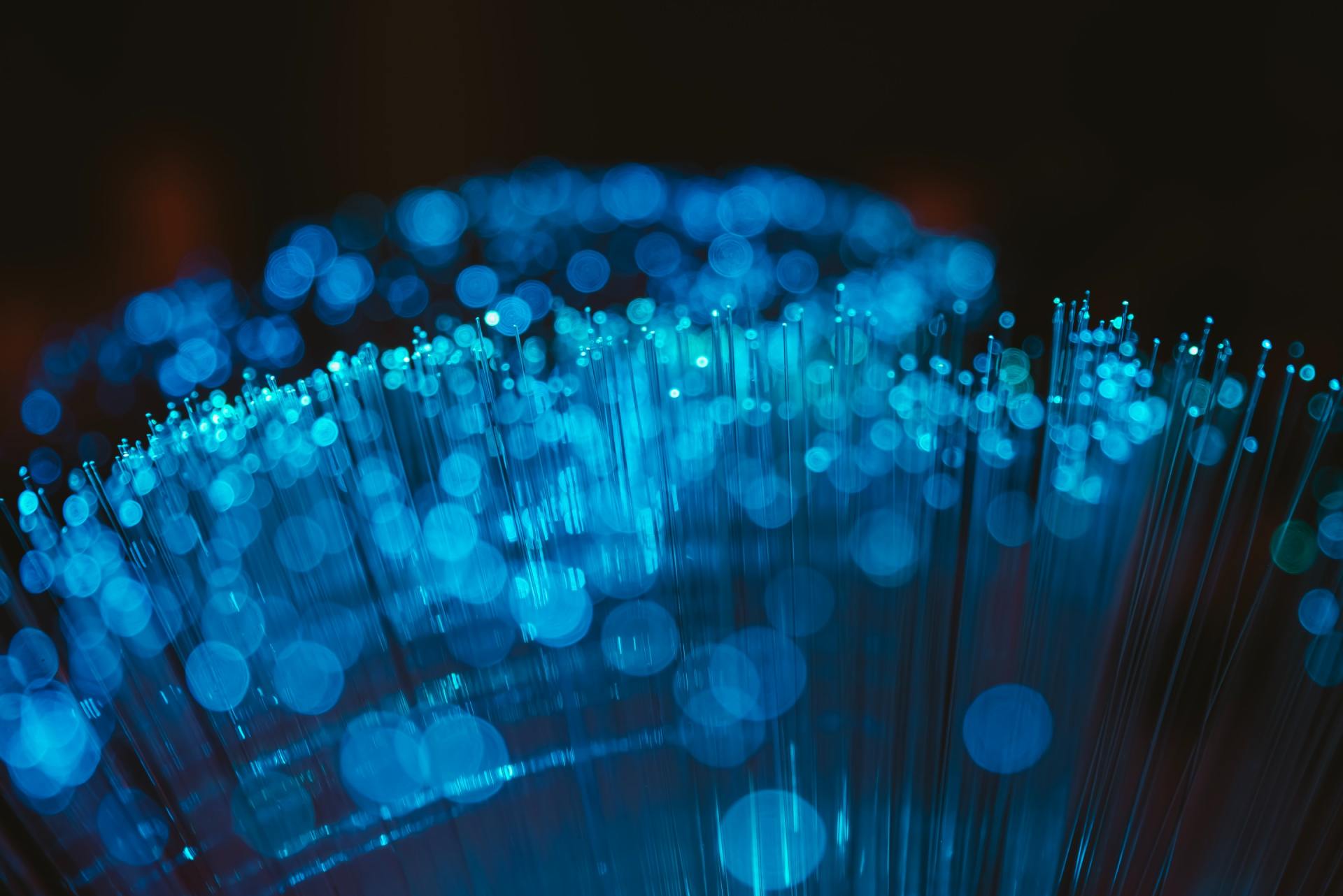 NETWORK