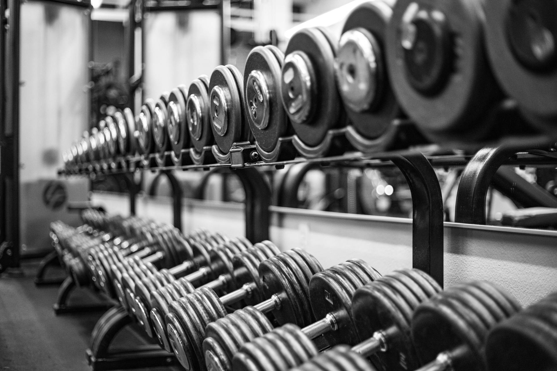 A black and white photo of a row of dumbbells in a gym.