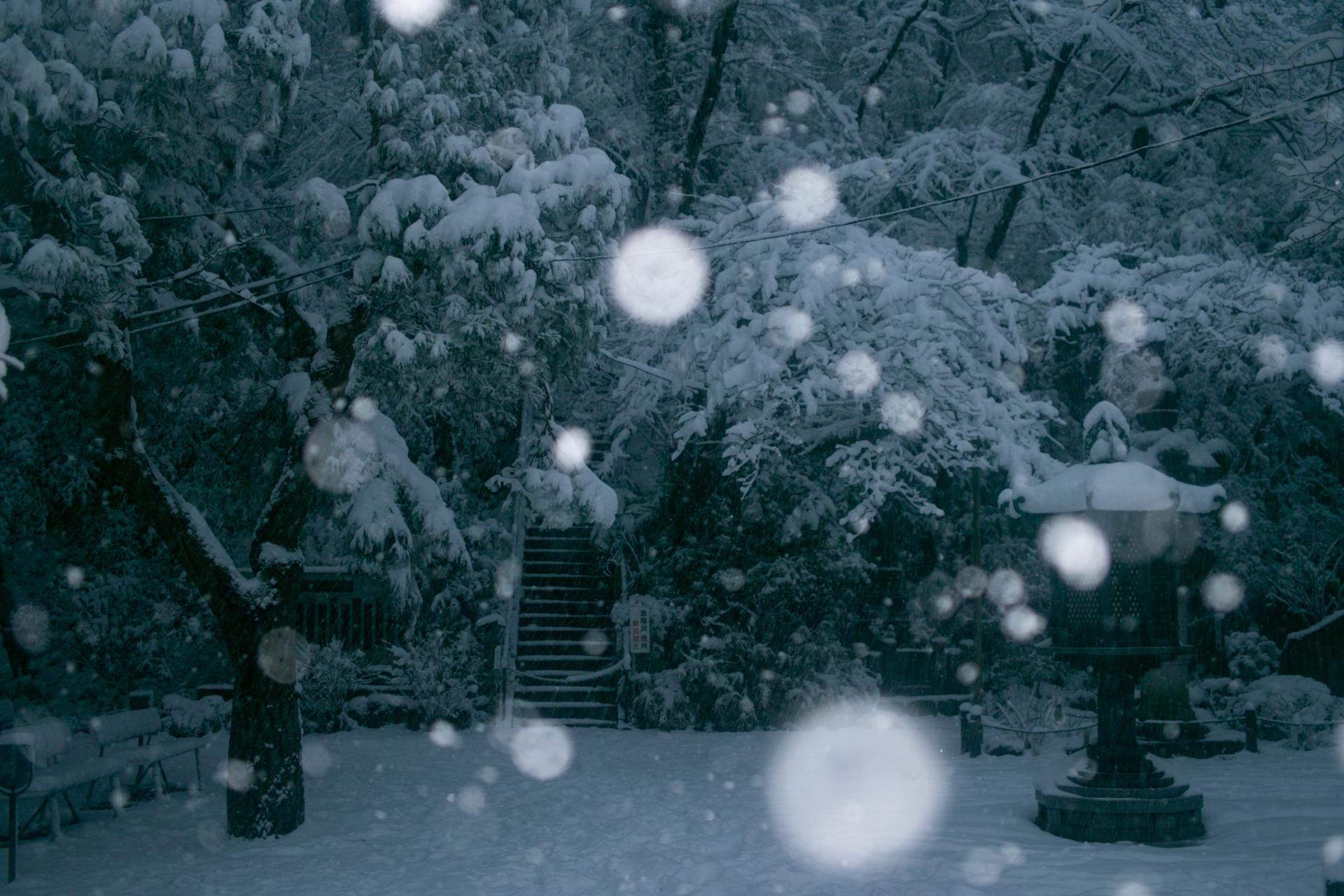 Cheektowaga, NY
