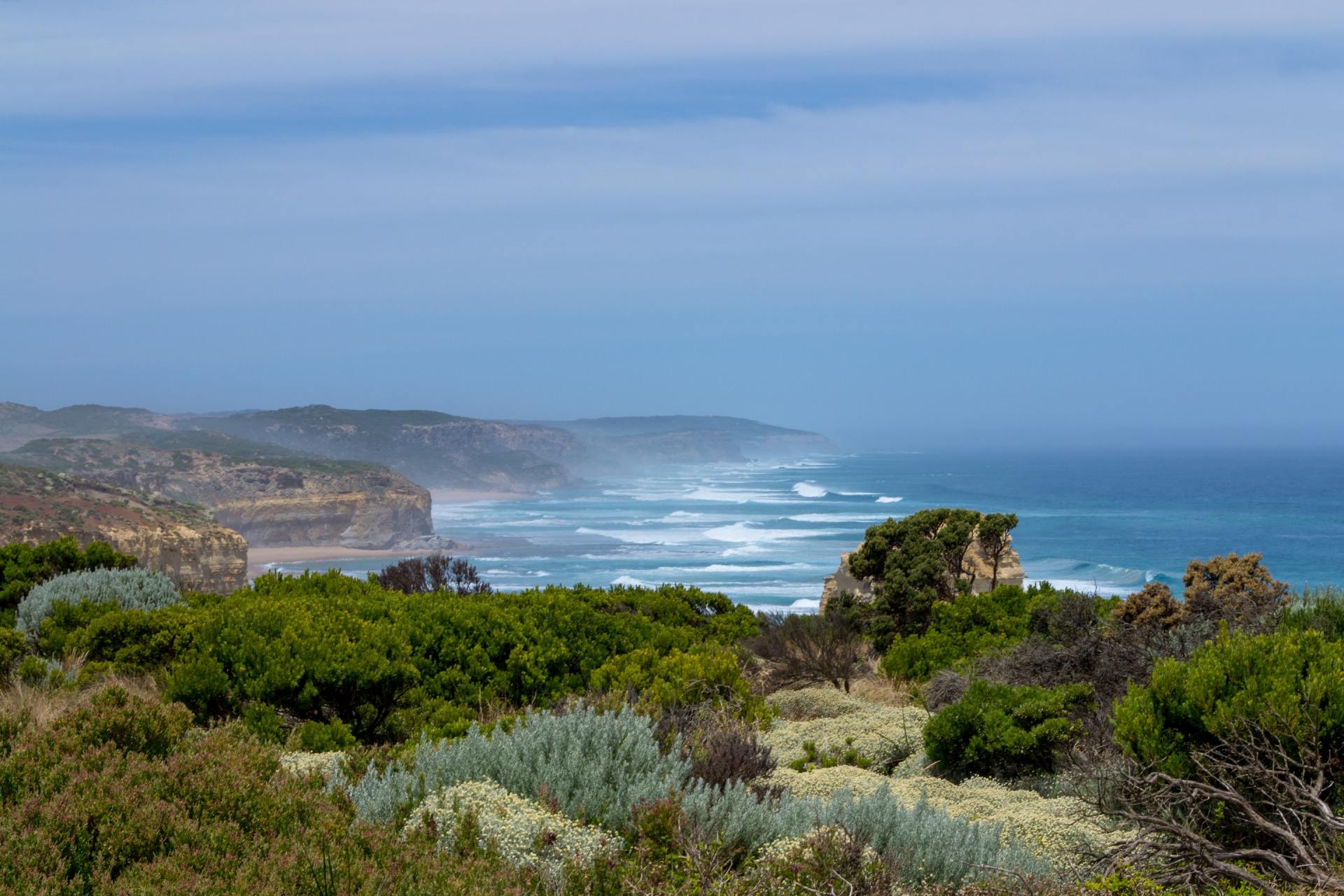 A view of the ocean from a cliff with trees in the foreground.