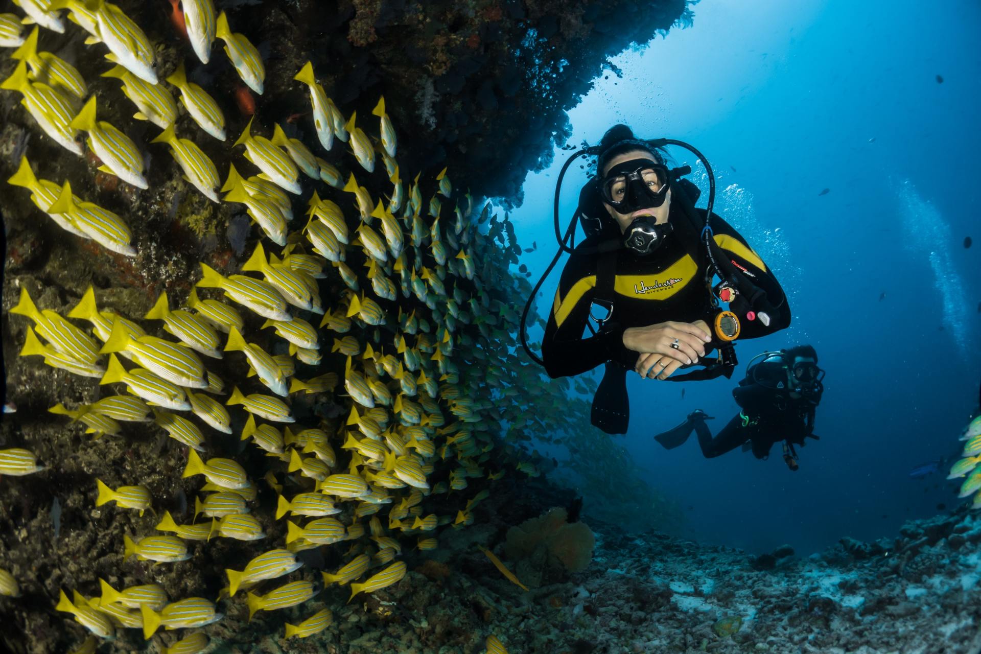 Scuba divers observe a school of yellow fish near an underwater rock formation.