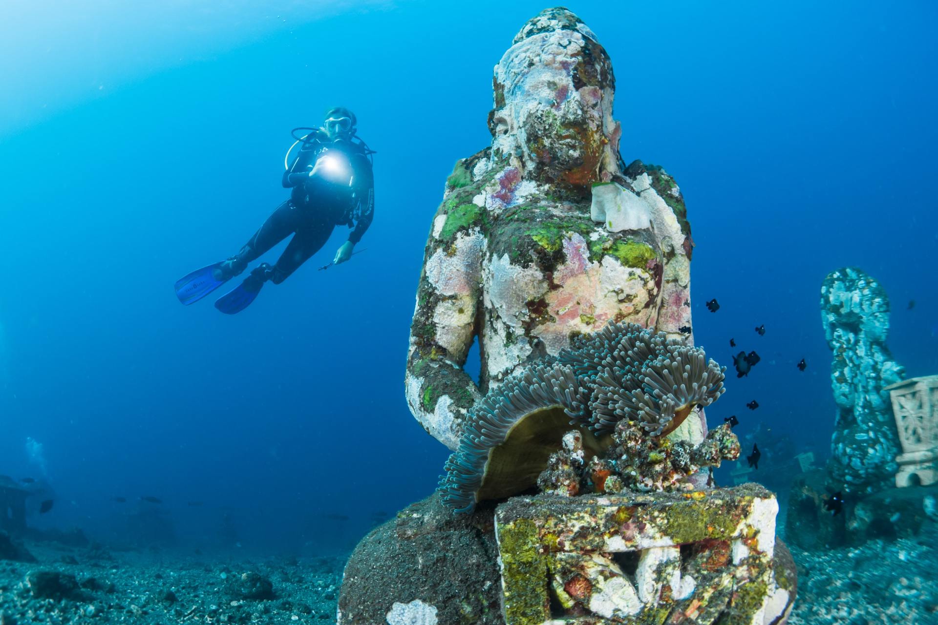 Pictures of Diving Services