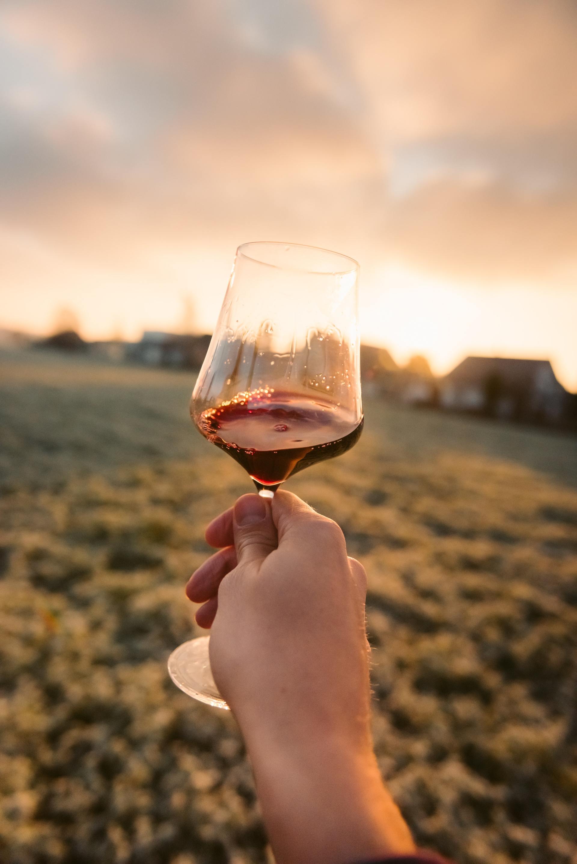 wine glass