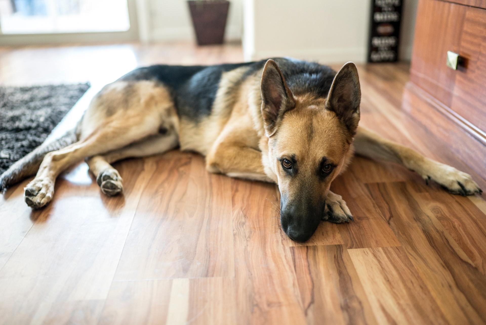 vinyl floor cleaning