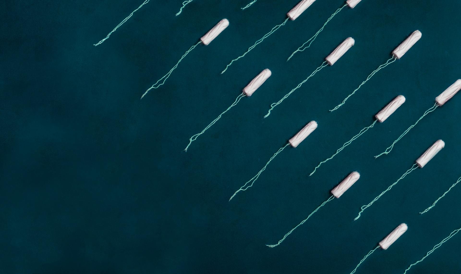 Tenants and Homeowner should not dispose of feminine products like tampons down the toilet
