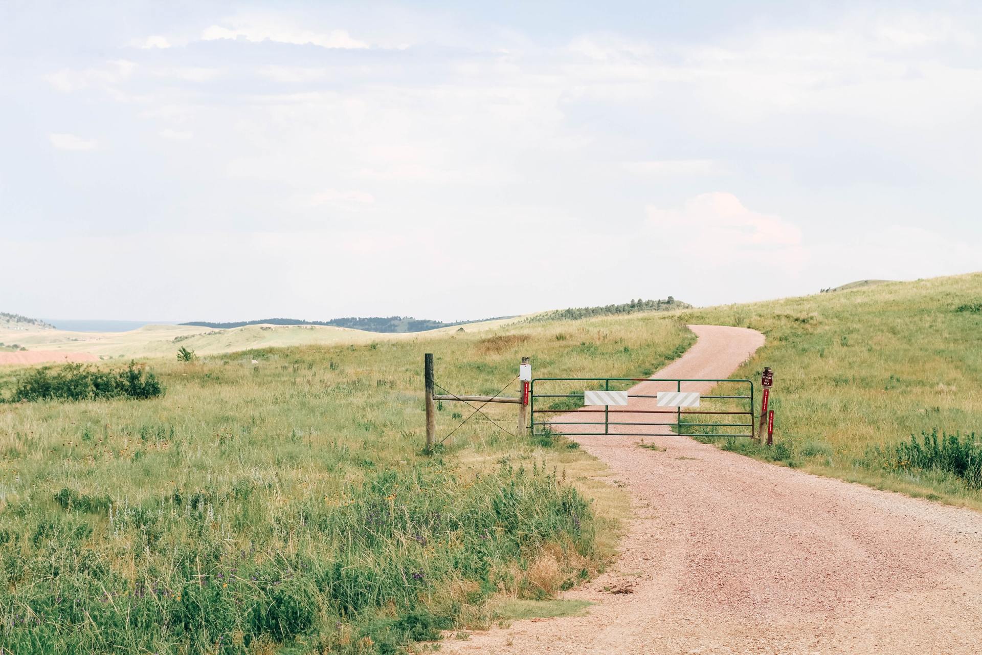 I Left The Gate Open. Profound Living. Michael Kroth