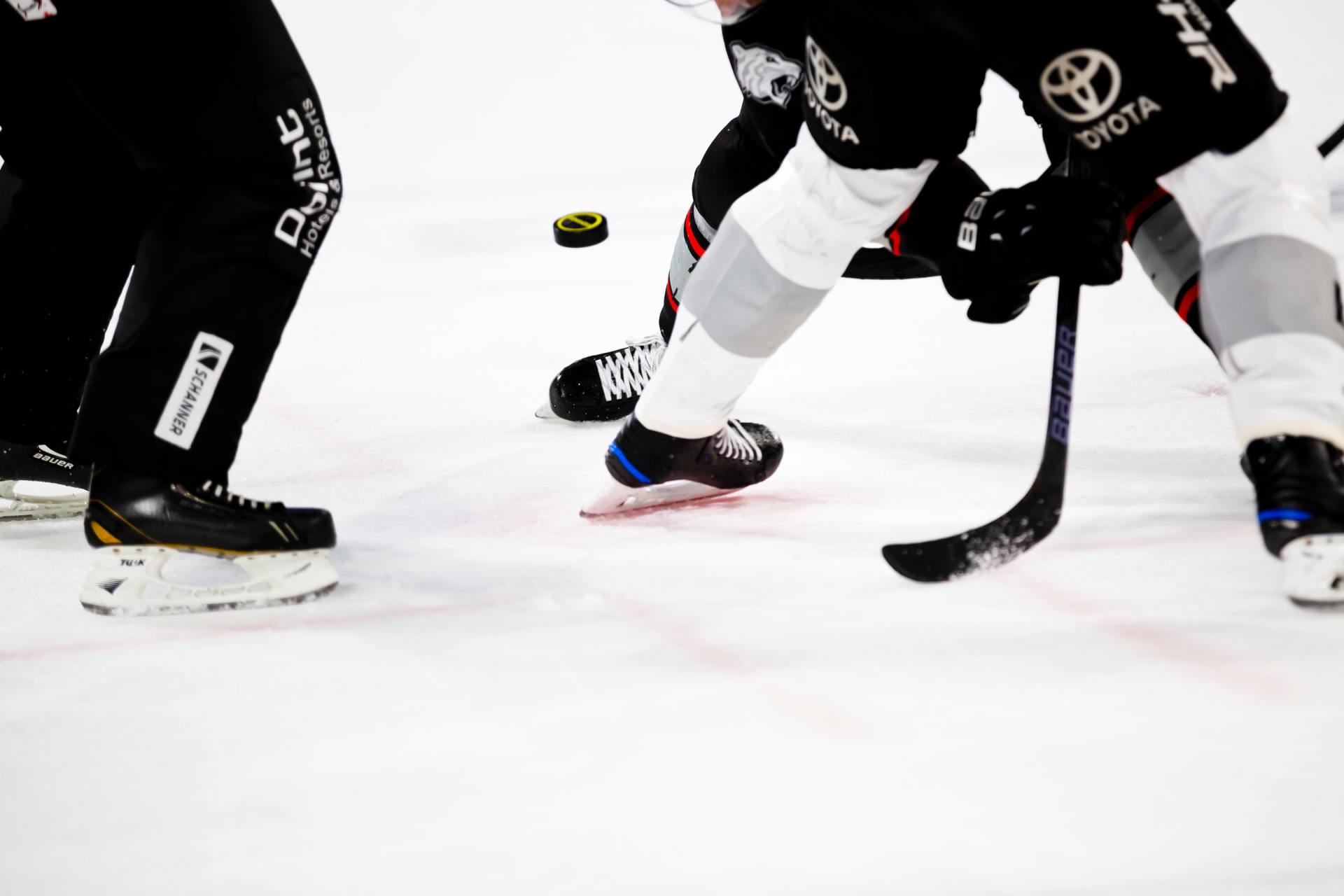 IJshockeykamp Eindhoven