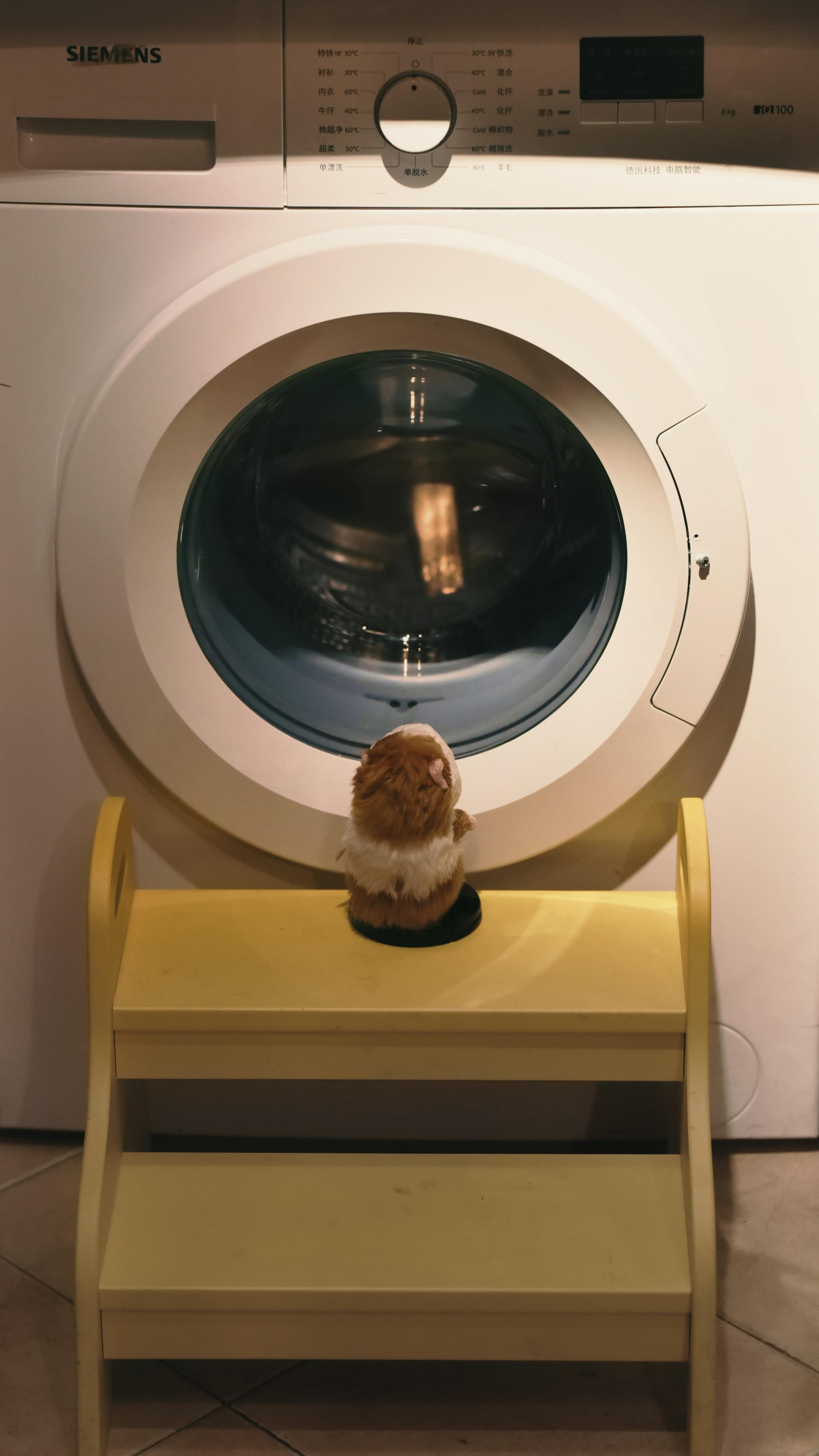 3 Things to check if your clothes dryer isn't working