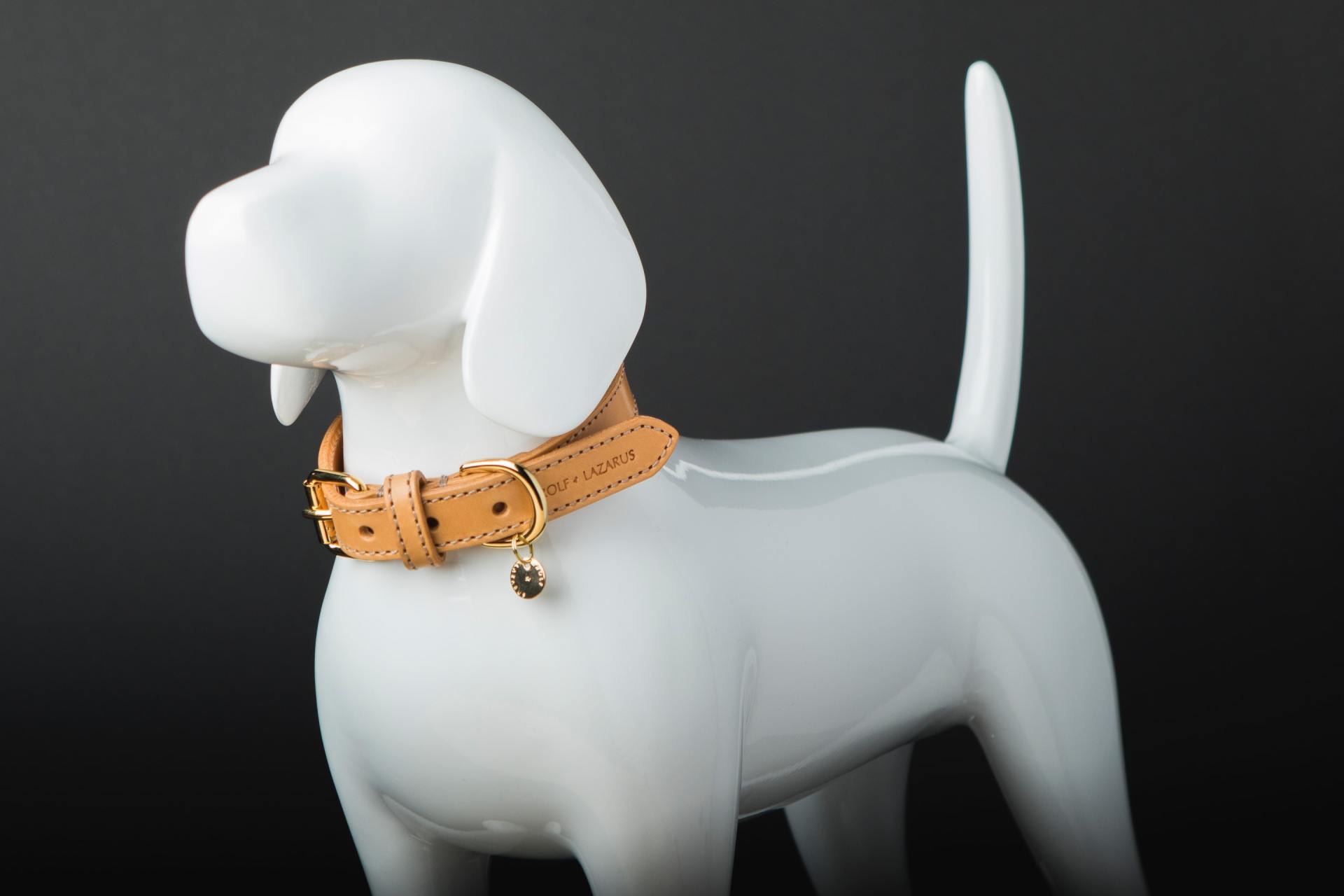 collari per cani